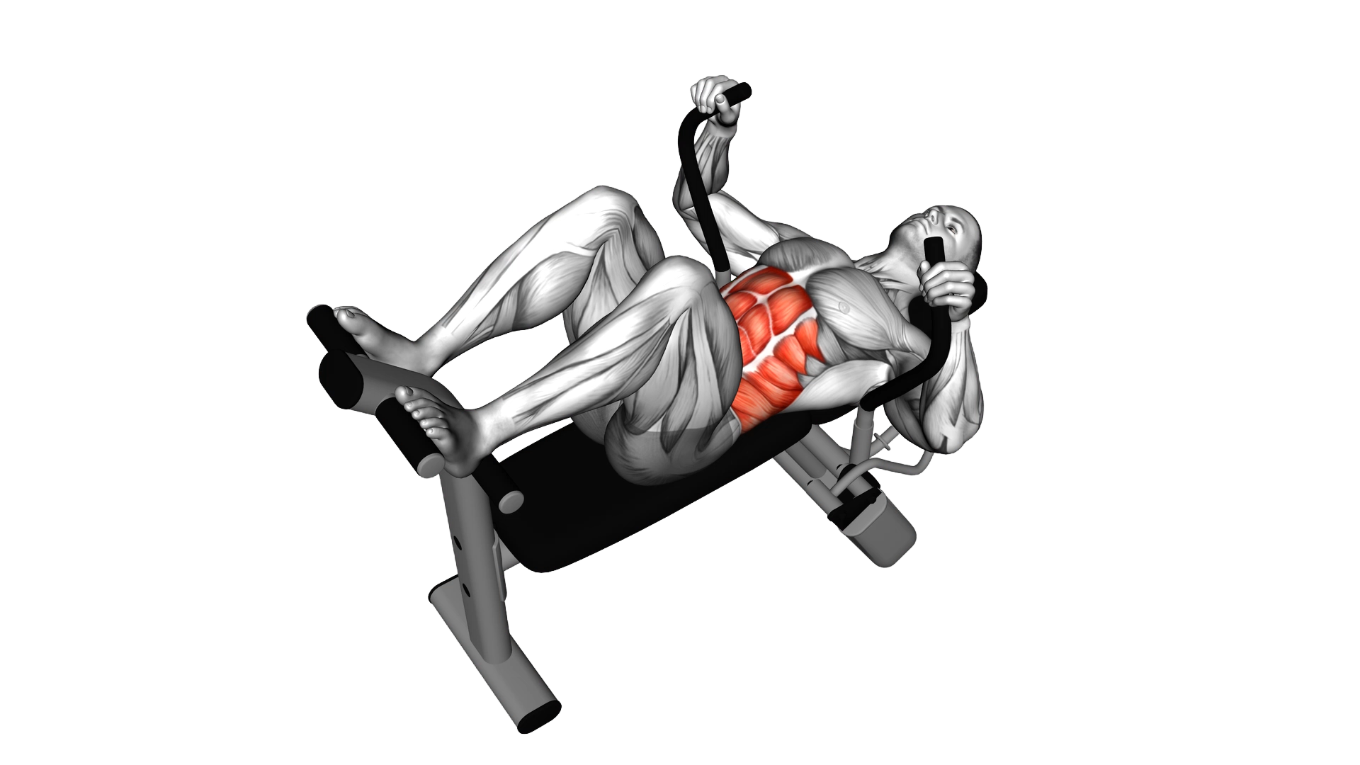 Lever Lying Crunch exercise demonstration