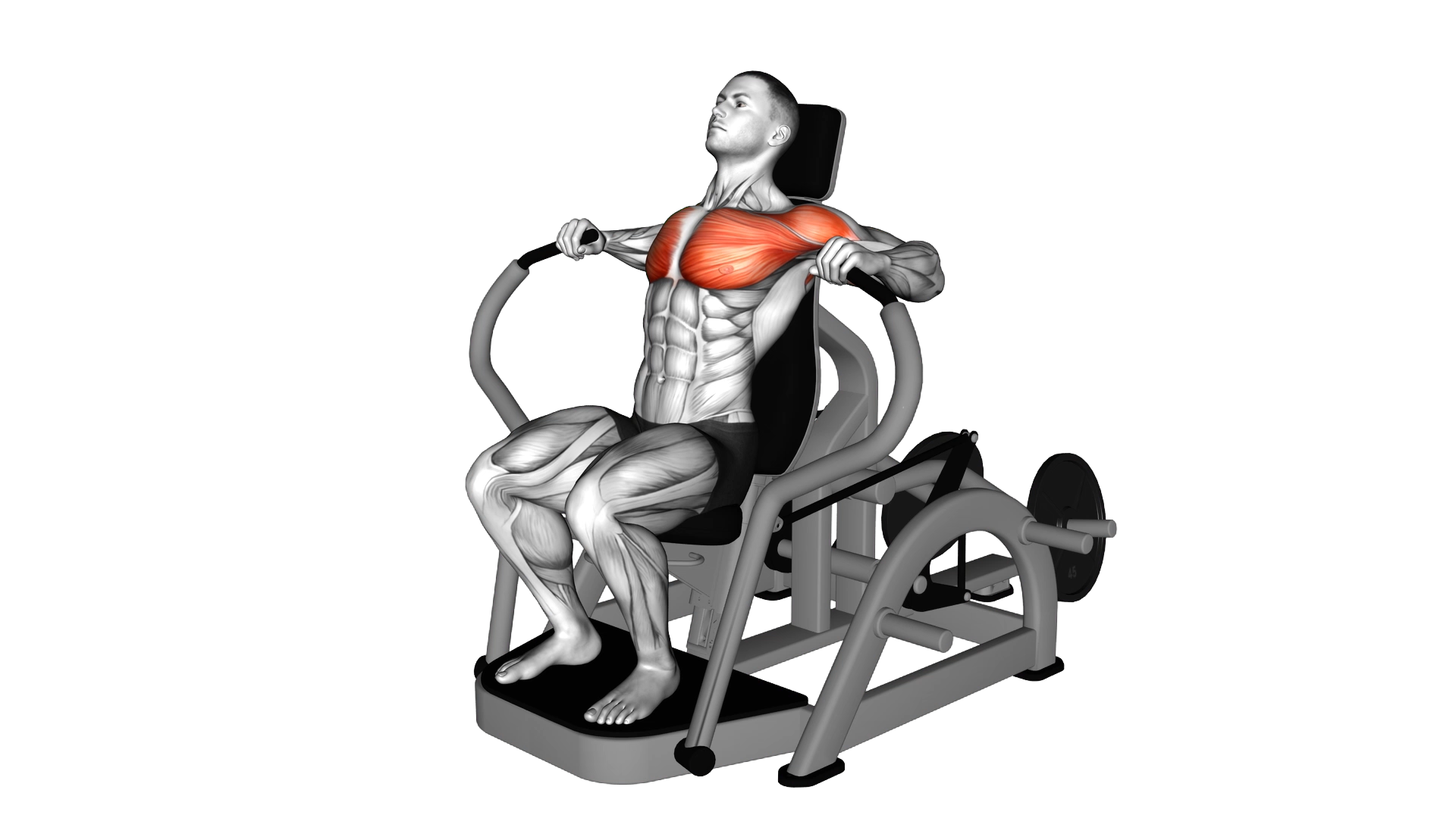 Lever Chest Press exercise demonstration