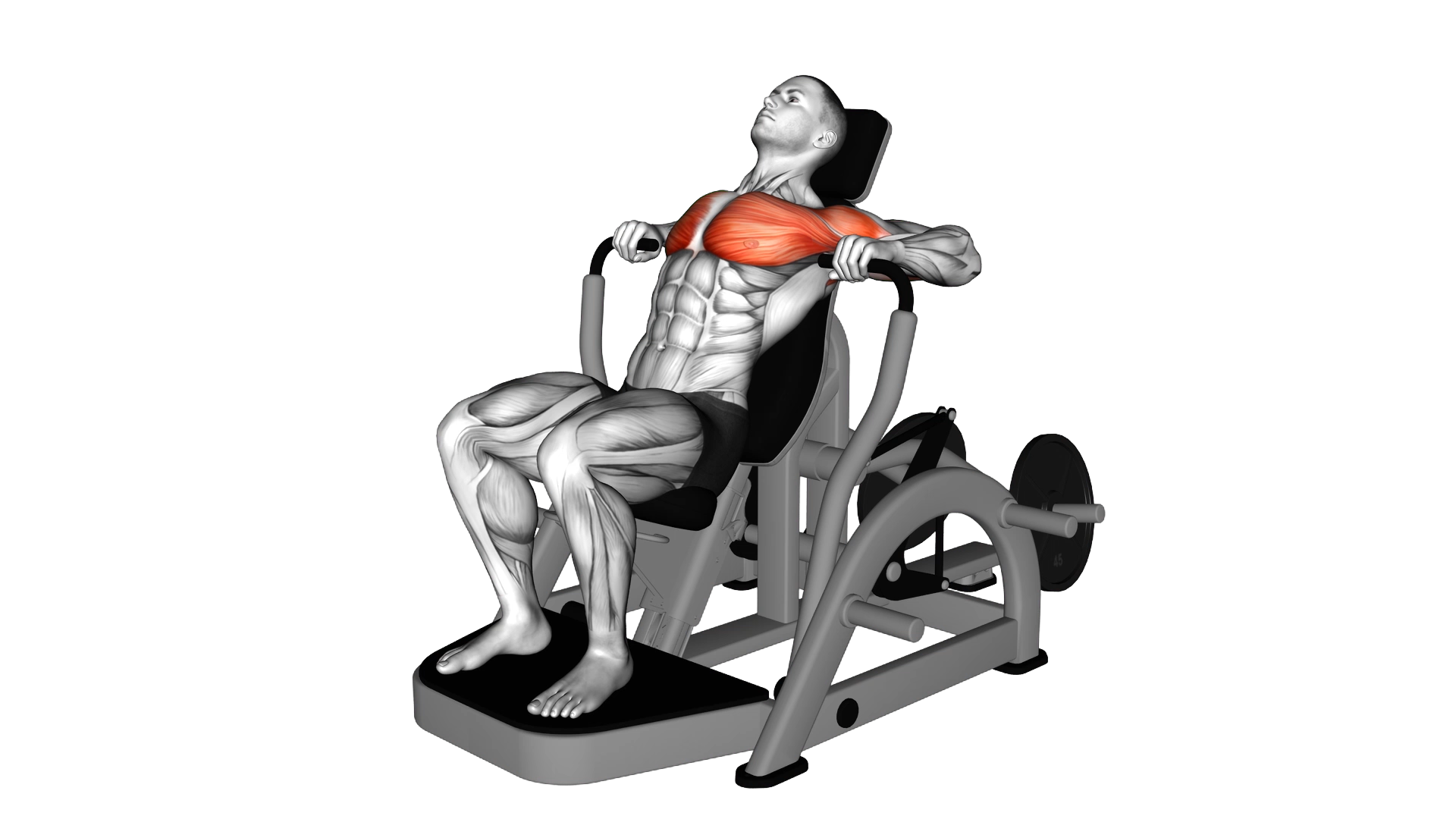 Lever Decline Chest Press exercise demonstration