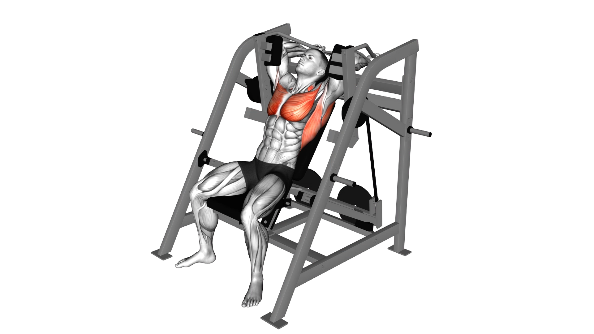 Lever Pullover (plate loaded) exercise demonstration