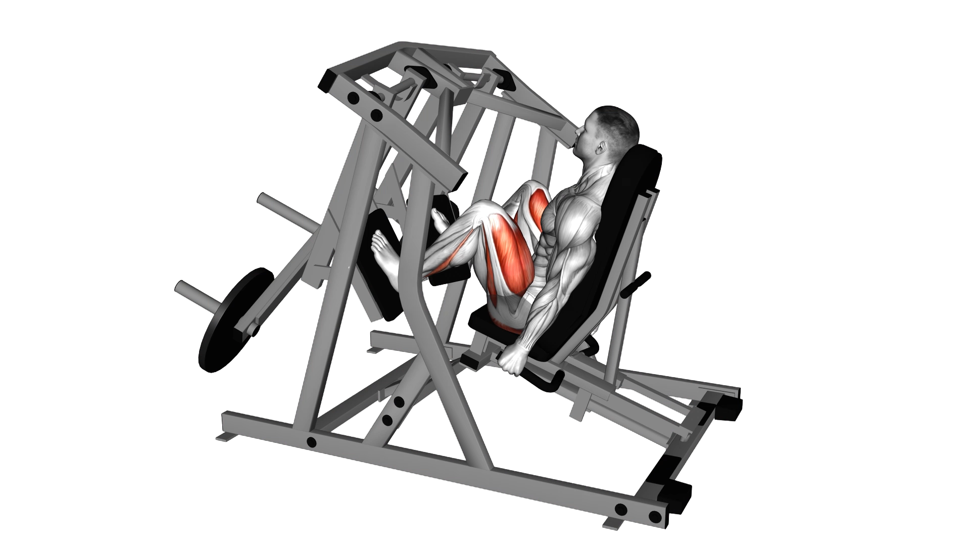 Lever Alternate Leg Press (plate loaded) exercise demonstration