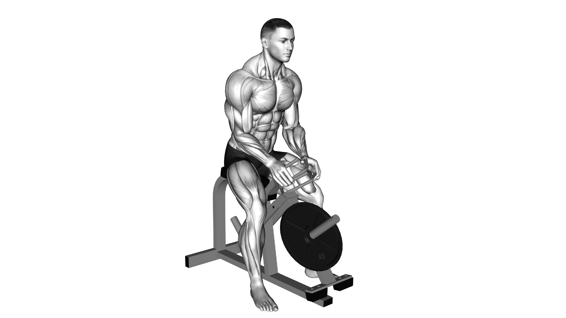 Lever Gripper Hands (plate loaded) exercise demonstration