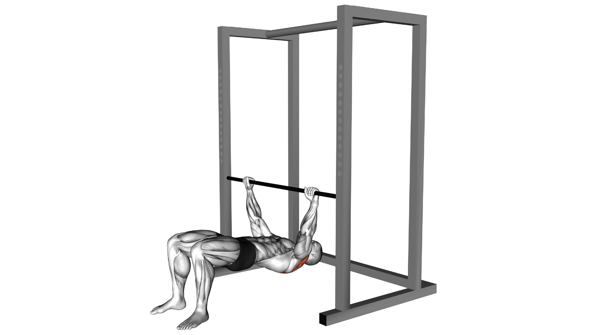 Inverted Row Bent Knees exercise demonstration