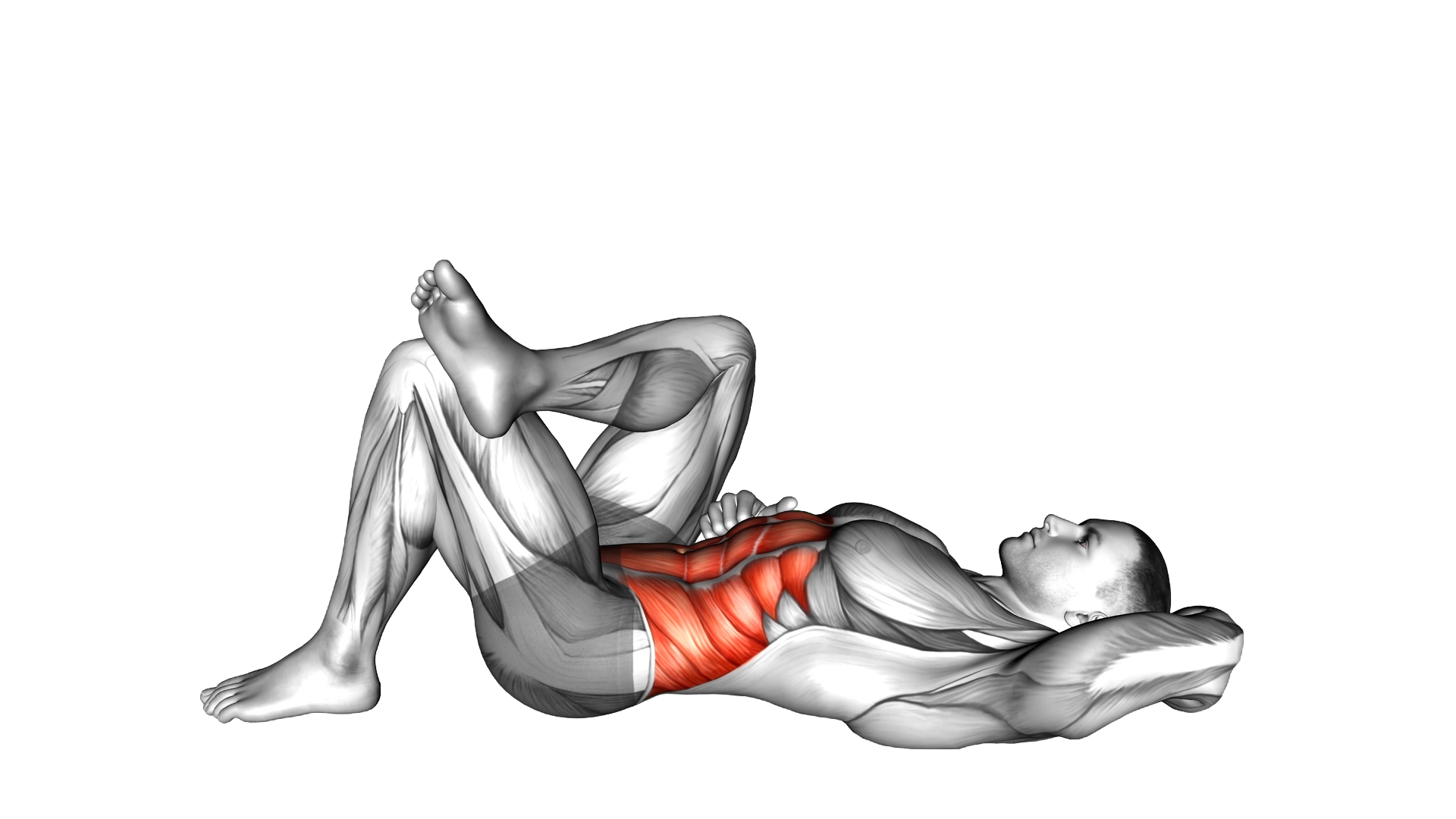 Lying Elbow to Knee exercise demonstration