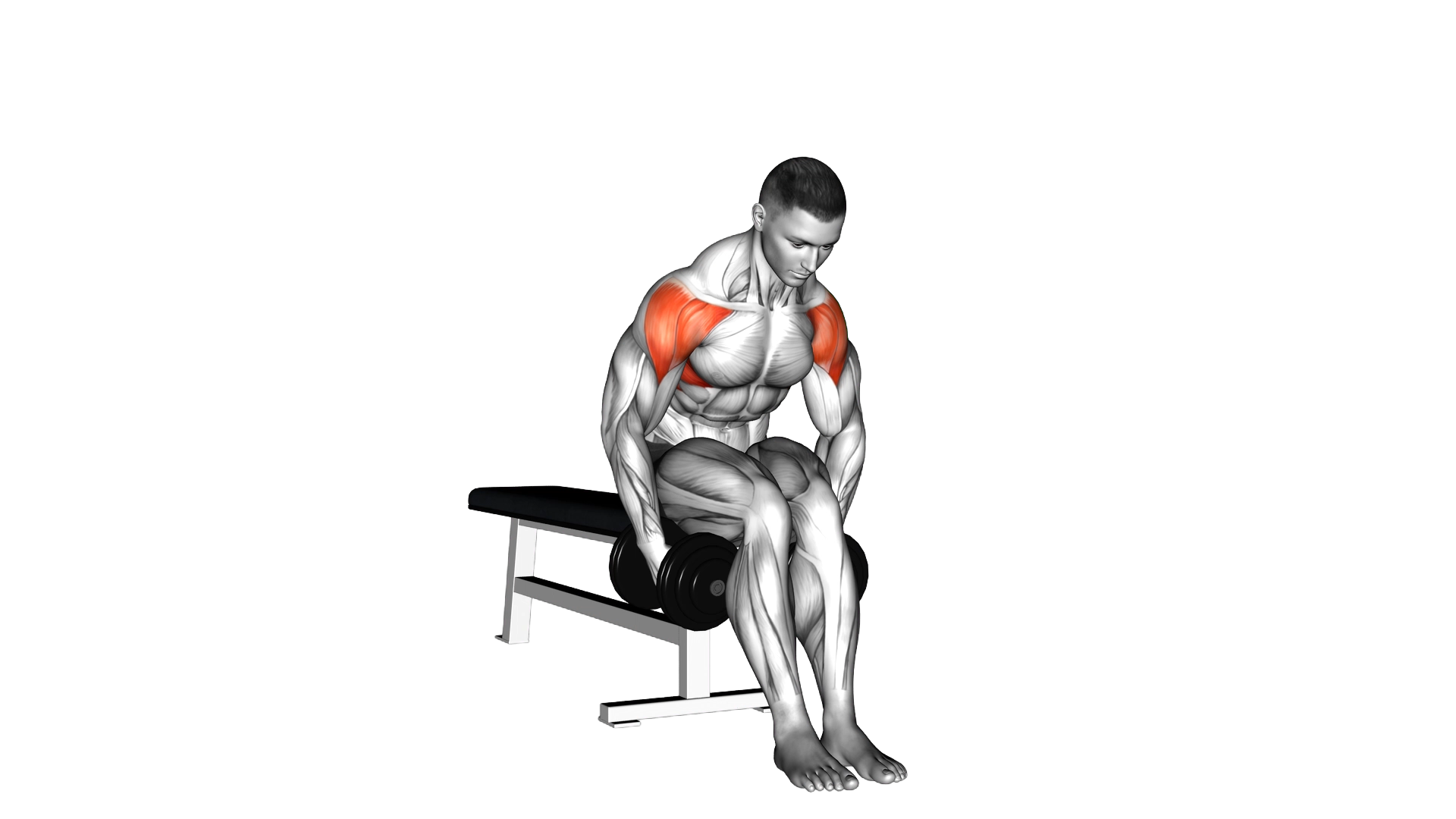 Dumbbell Seated Bent Arm Lateral raise exercise demonstration