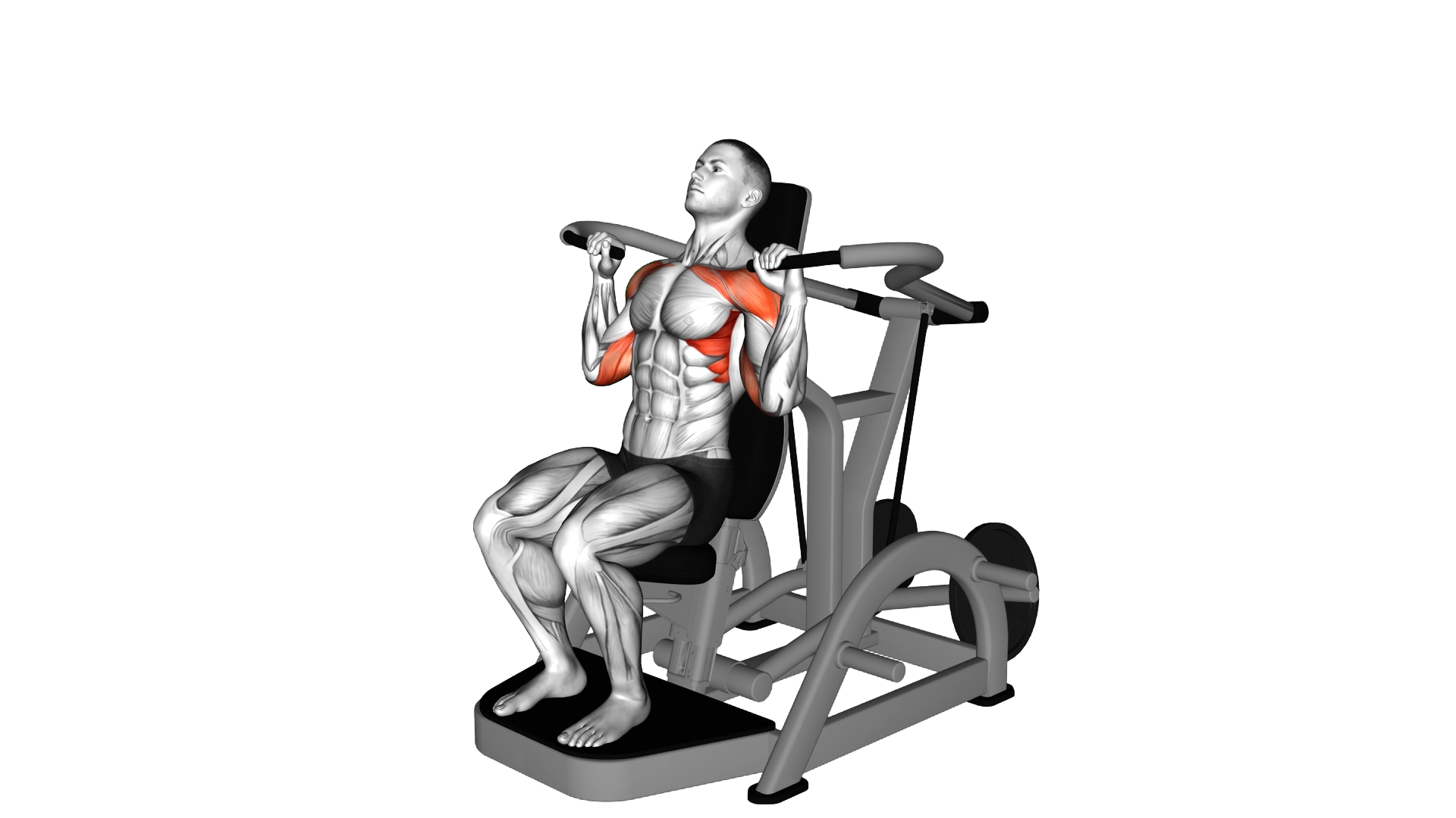 Lever Shoulder Press (plate loaded) exercise demonstration