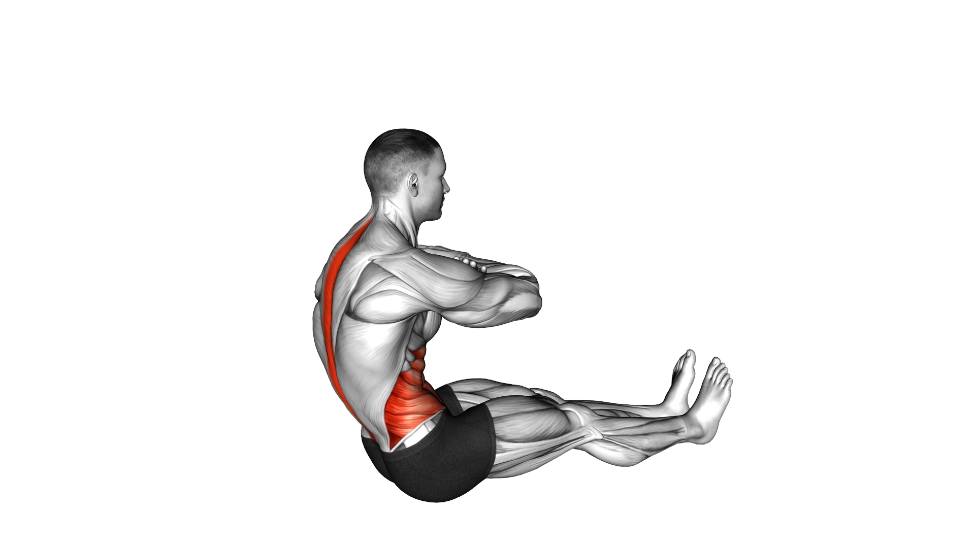 Spine Twist exercise demonstration