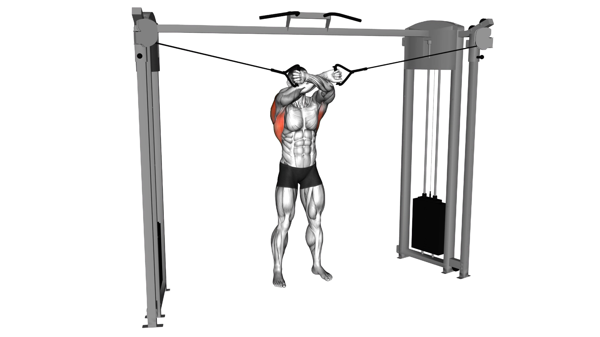 Cable Lat Pulldown Full Range Of Motion exercise demonstration