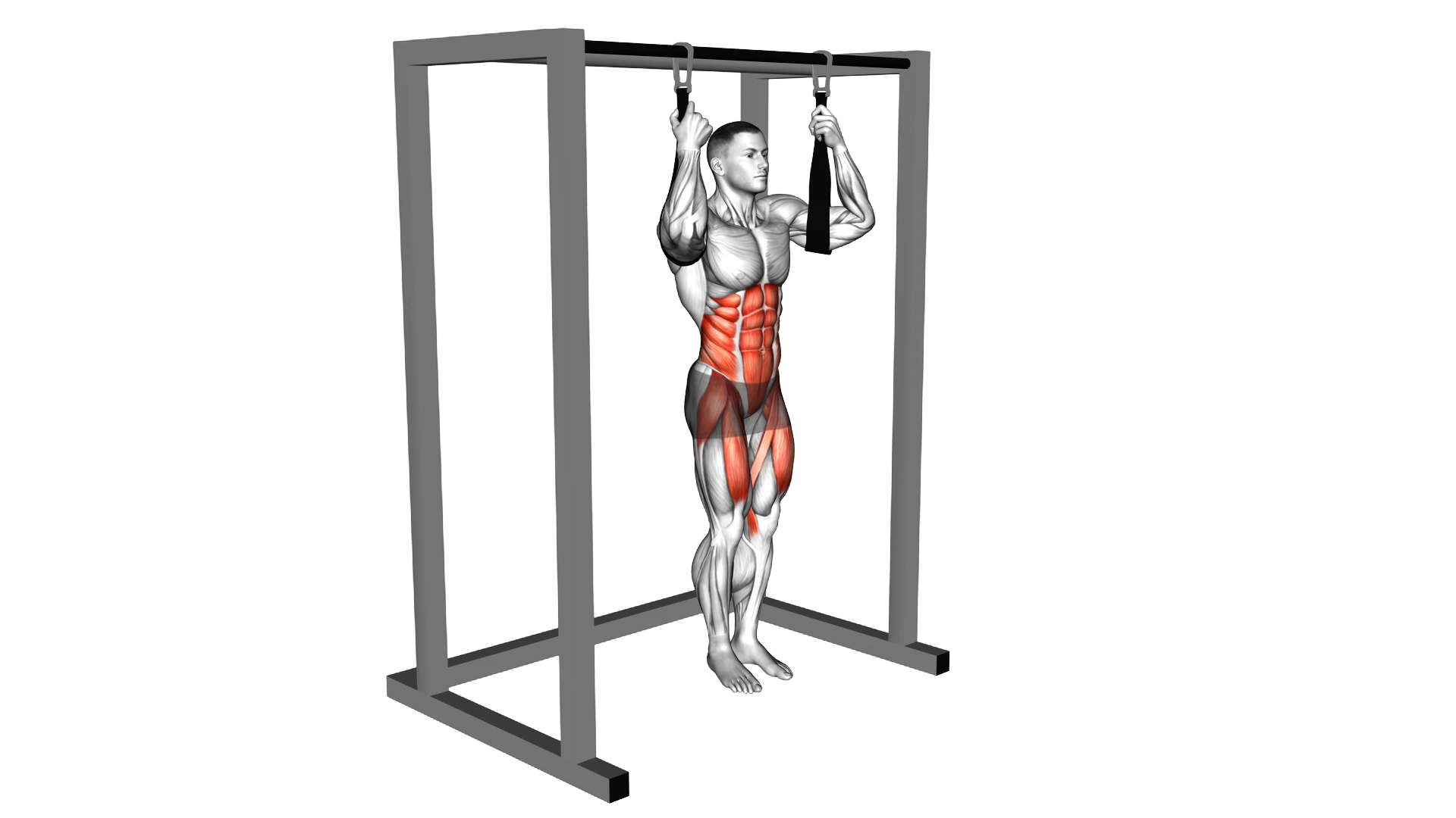 Arm slingers Hanging Straight Legs exercise demonstration