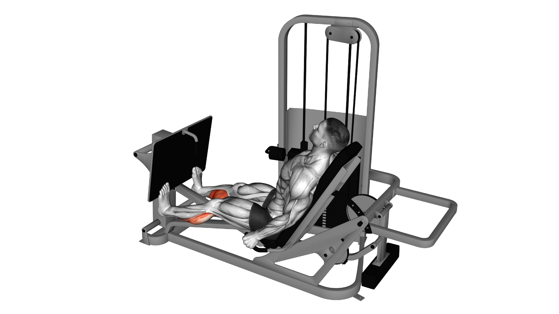 Lever Seated Calf Press exercise demonstration