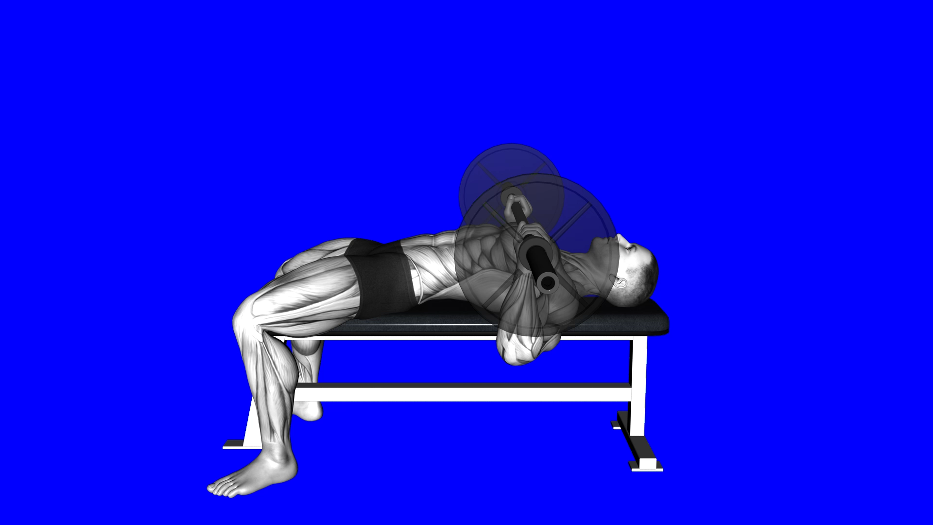 Chest Bench Press Butt (WRONG RIGHT) exercise thumbnail