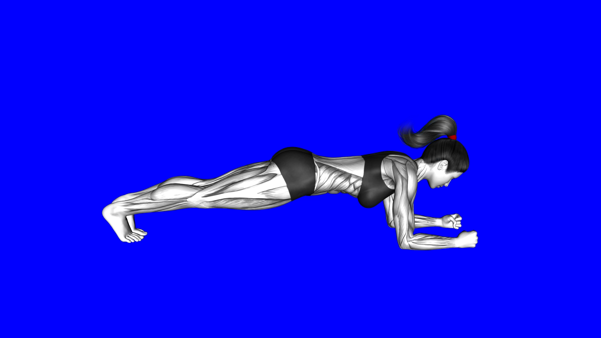 Front Plank Butt (WRONG RIGHT) exercise demonstration