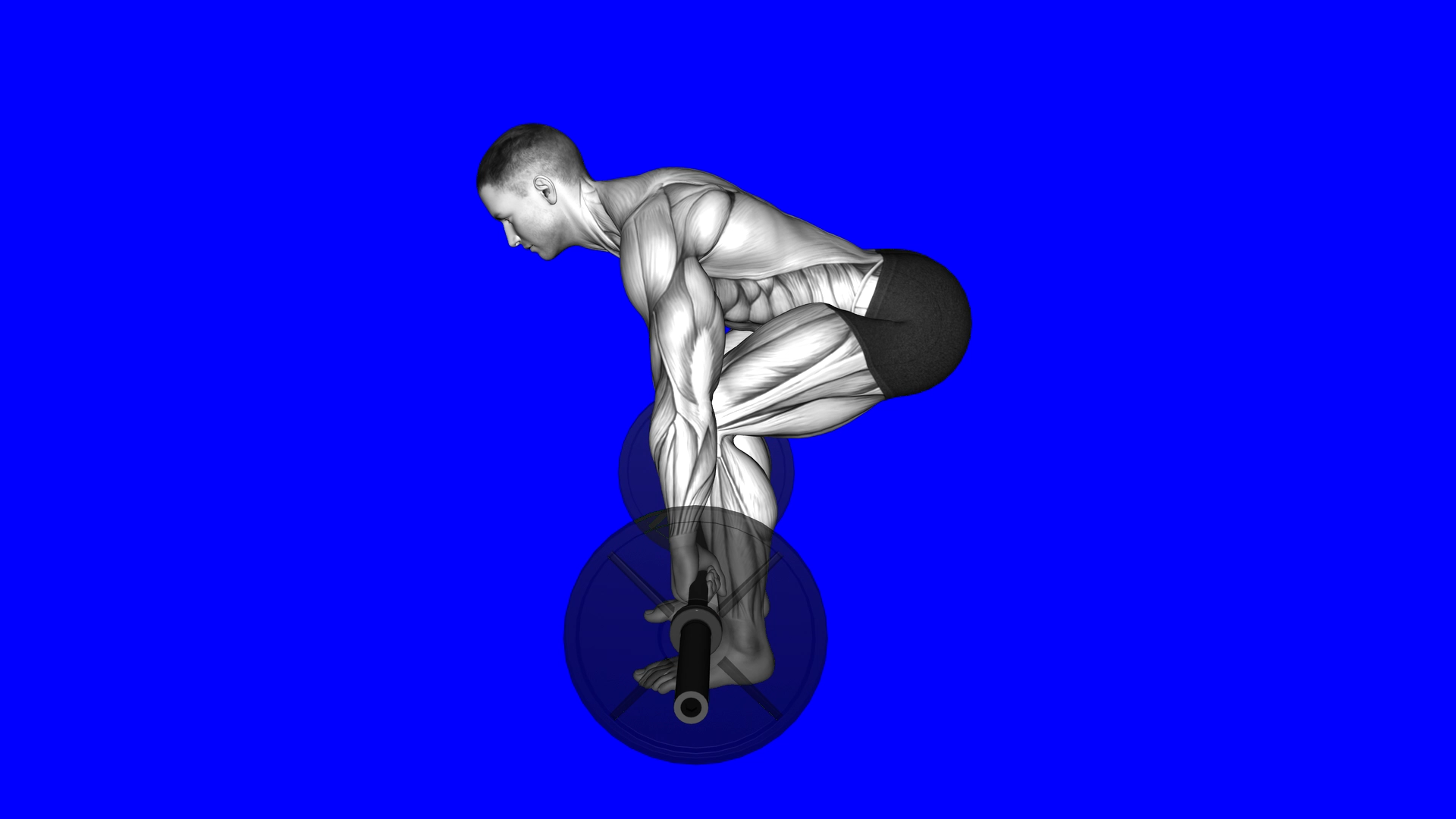 Deadlift Back (WRONG RIGHT) exercise demonstration