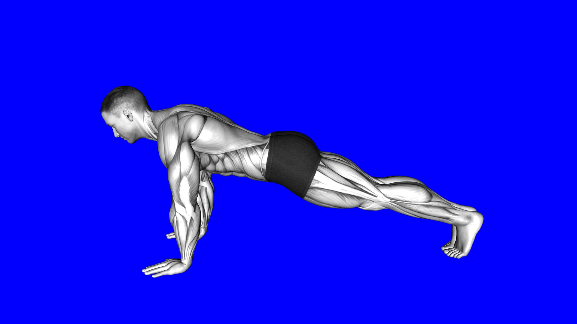 Plank Butt (WRONG RIGHT) exercise demonstration