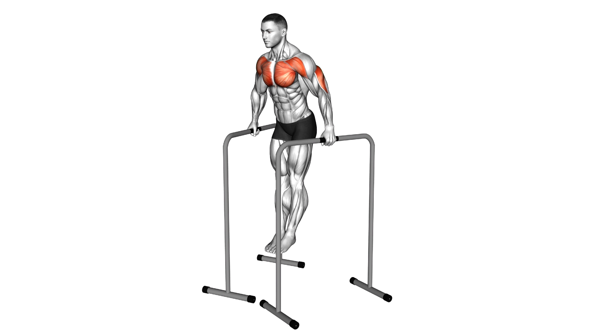 Wide Grip Chest Dip on High Parallel Bars exercise thumbnail