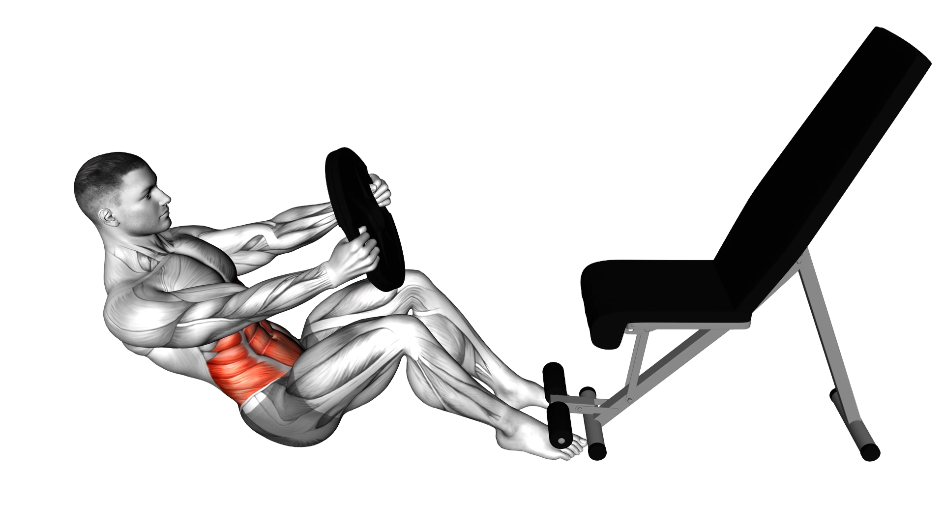 Weighted Russian Twist exercise demonstration