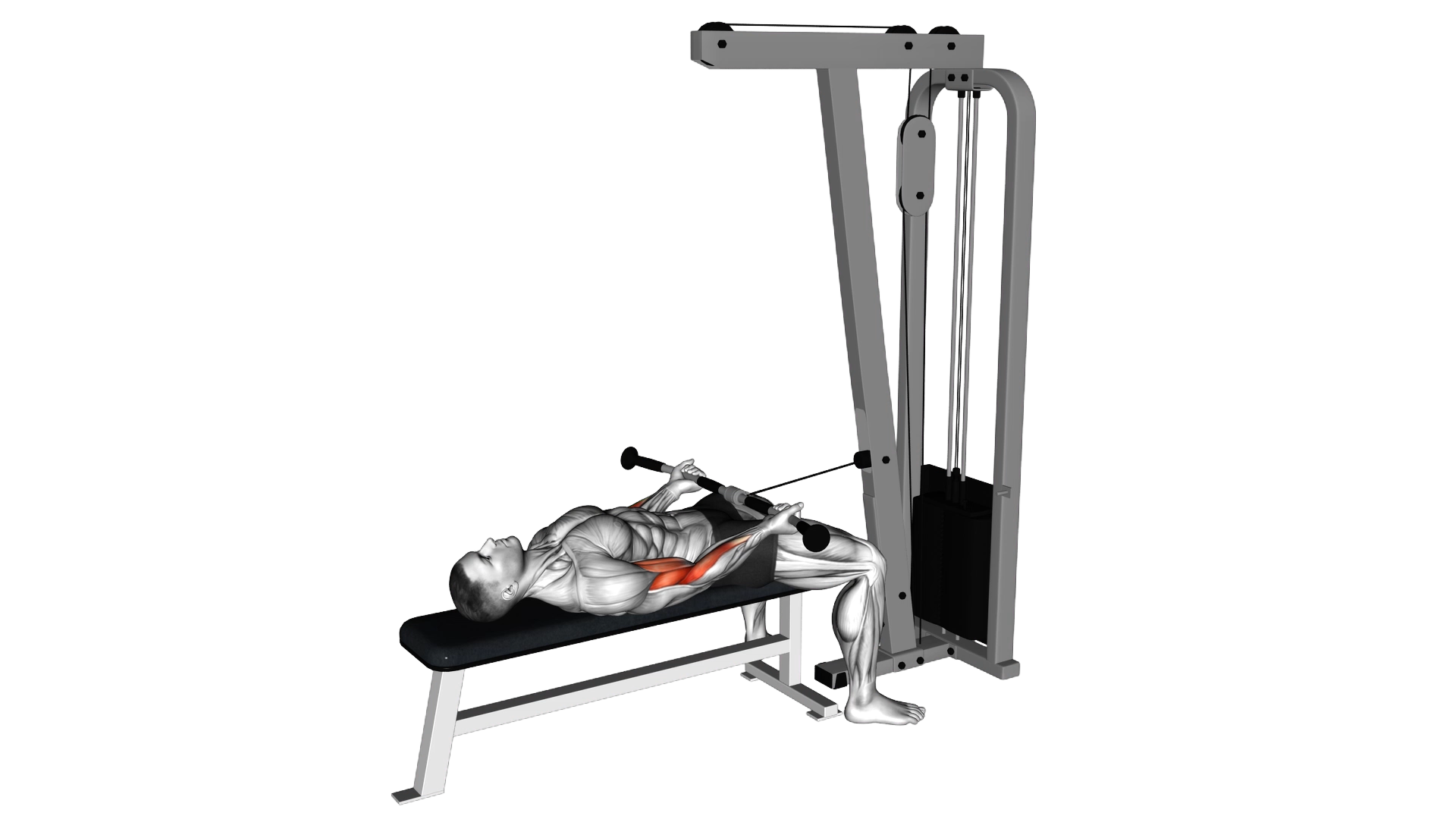 Cable Lying Biceps Curl exercise demonstration