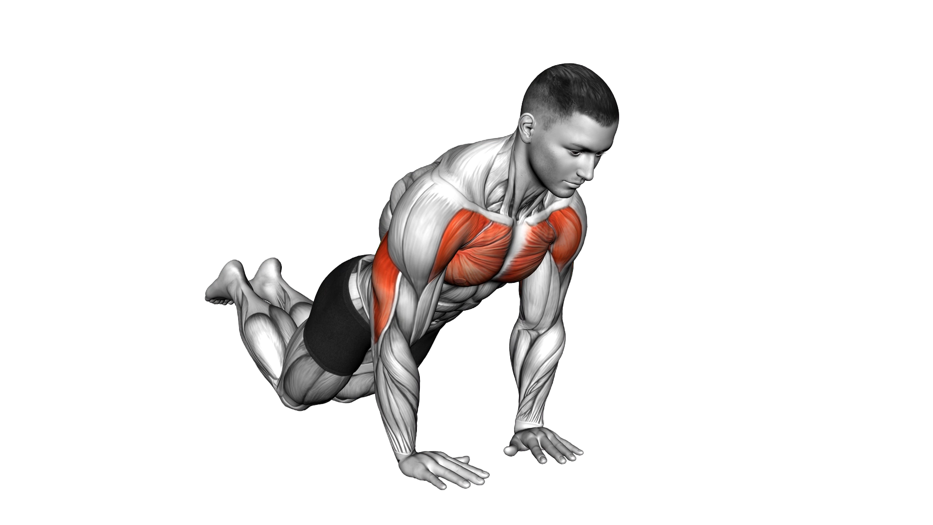 Close grip Push up (on knees) exercise demonstration