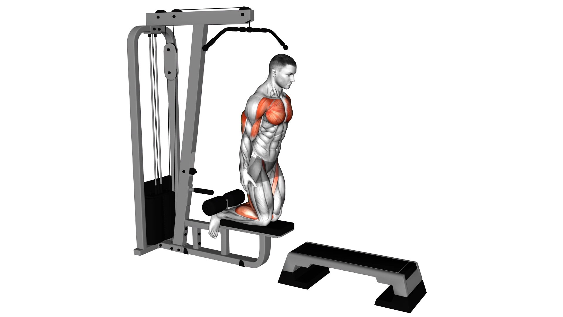 Inverse Leg Curl (on pull up cable machine) exercise thumbnail