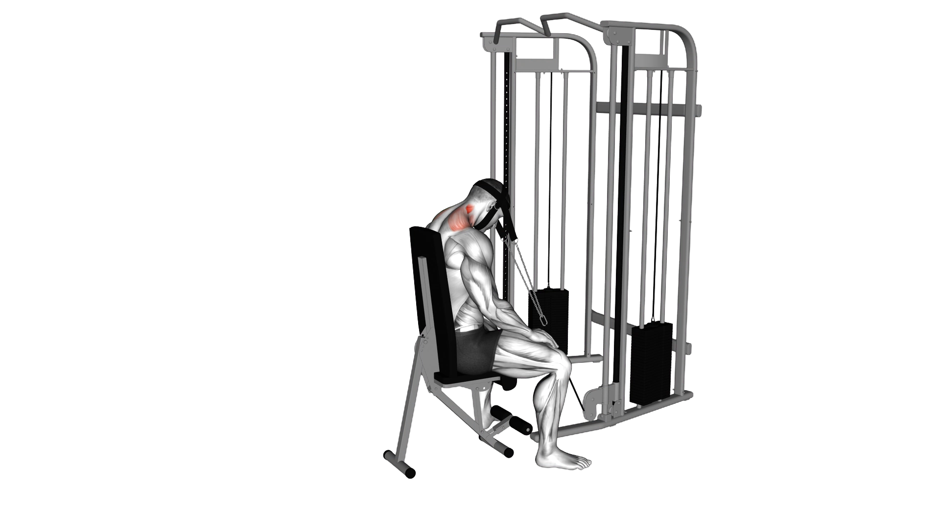 Cable Seated Neck Extension (with head harness) exercise thumbnail