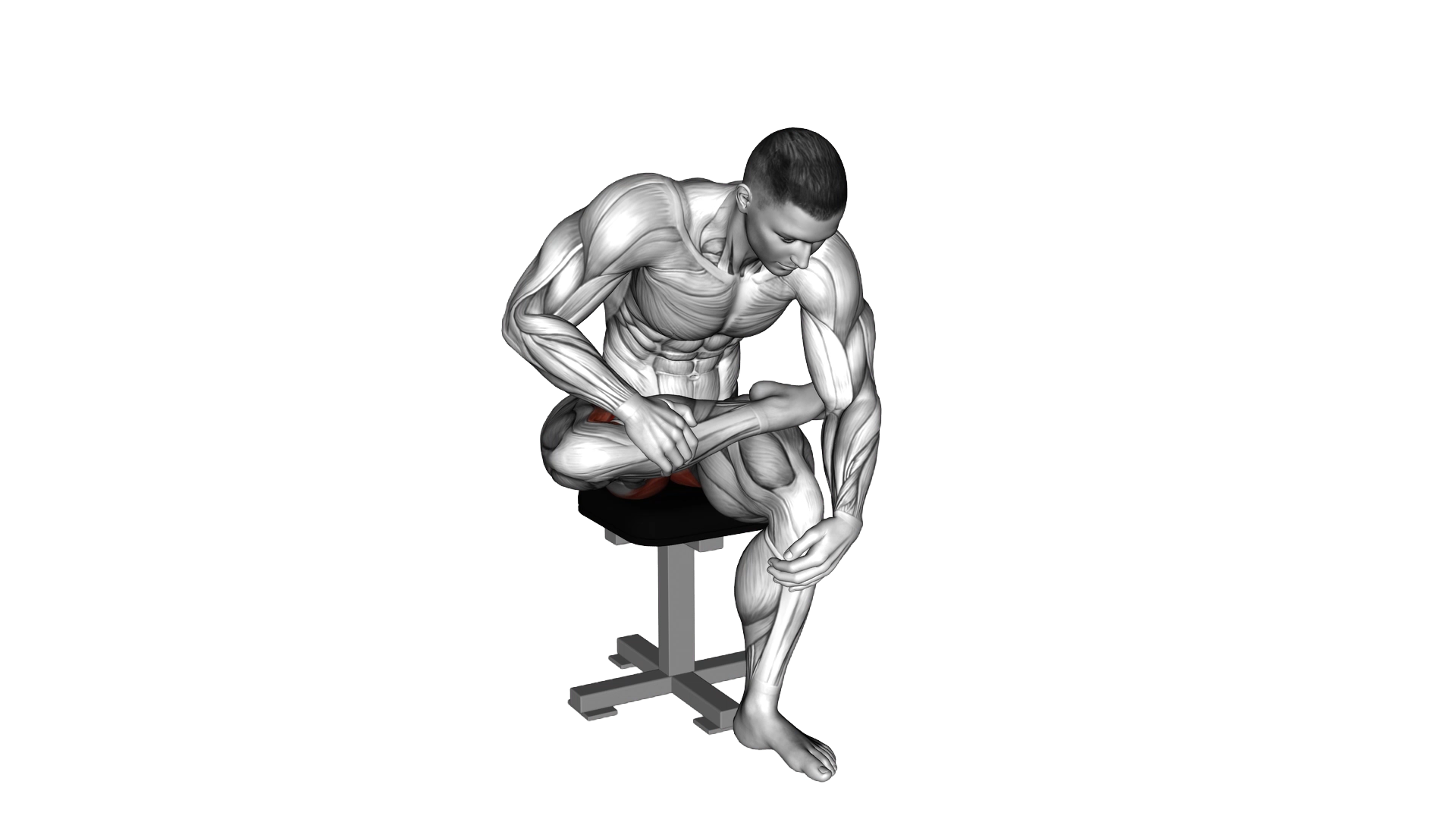 Seated Piriformis Stretch exercise demonstration