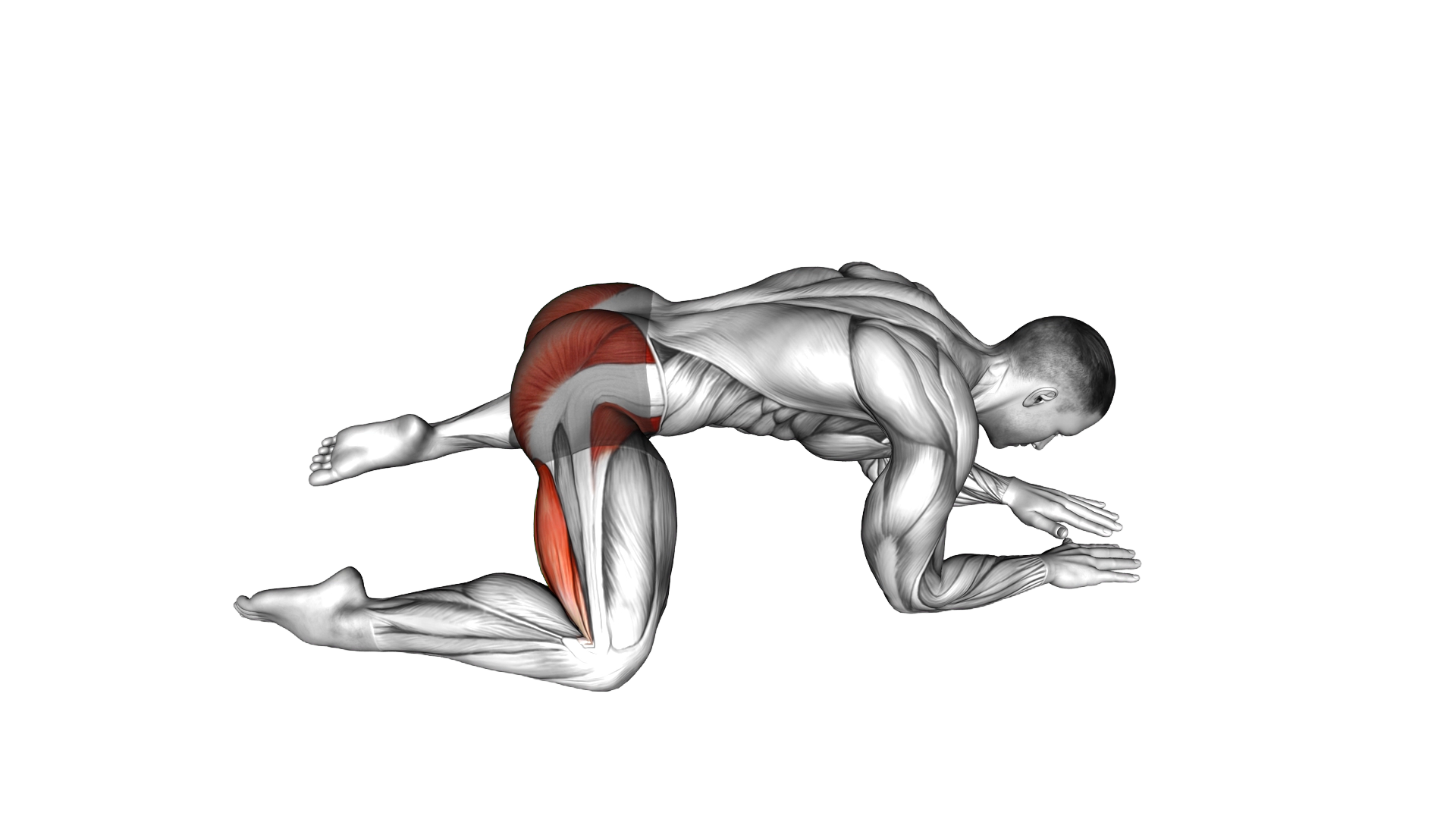 Rocking Frog Stretch exercise demonstration