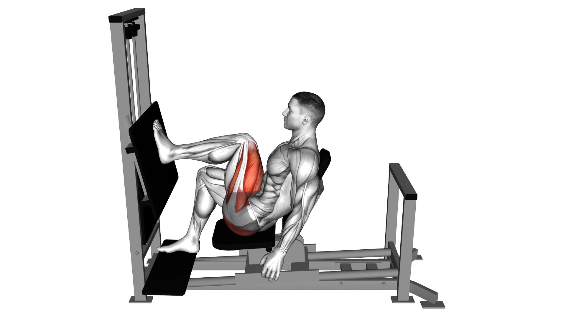 Lever Horizontal One leg Press exercise demonstration