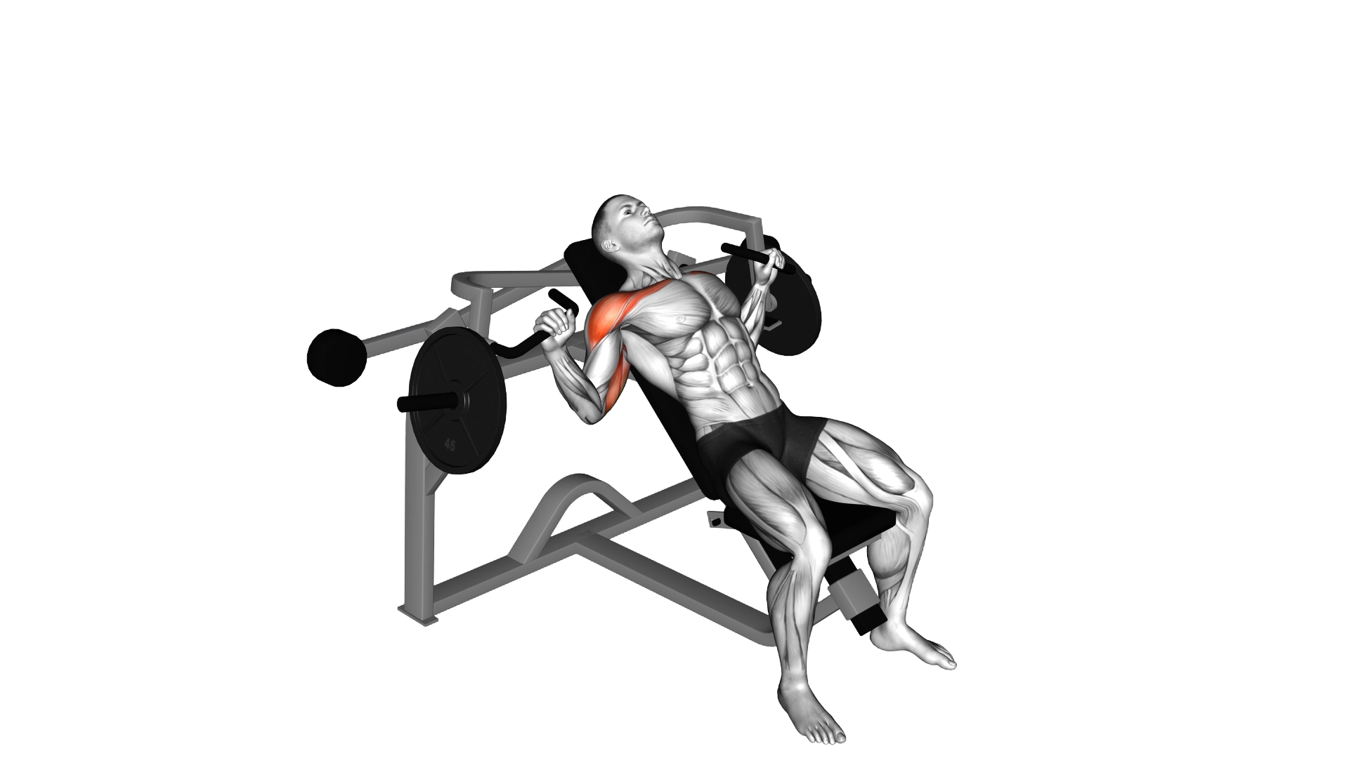 Lever Incline Chest Press (plate loaded) exercise thumbnail