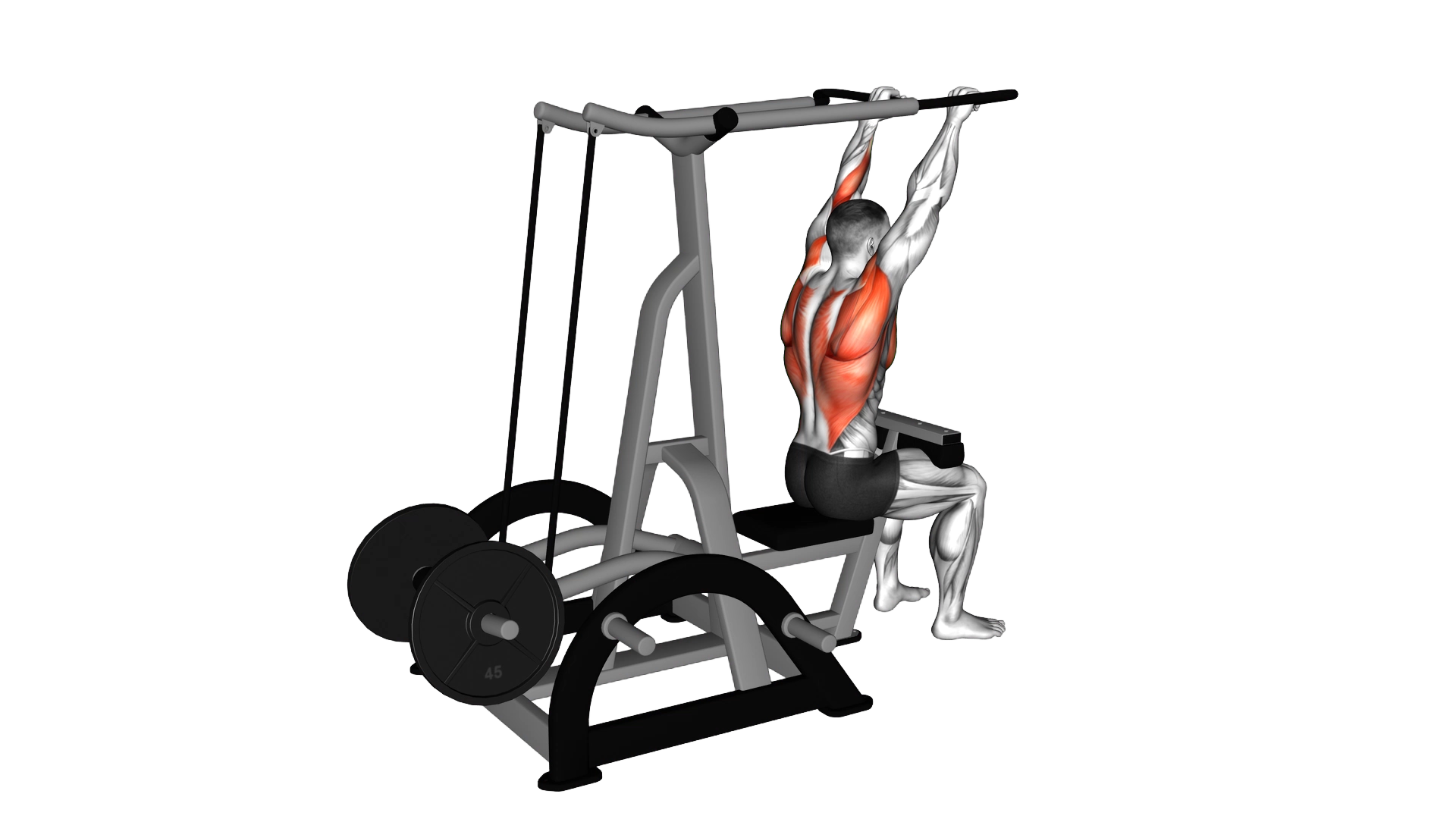 Lever High Row (plate loaded) exercise demonstration