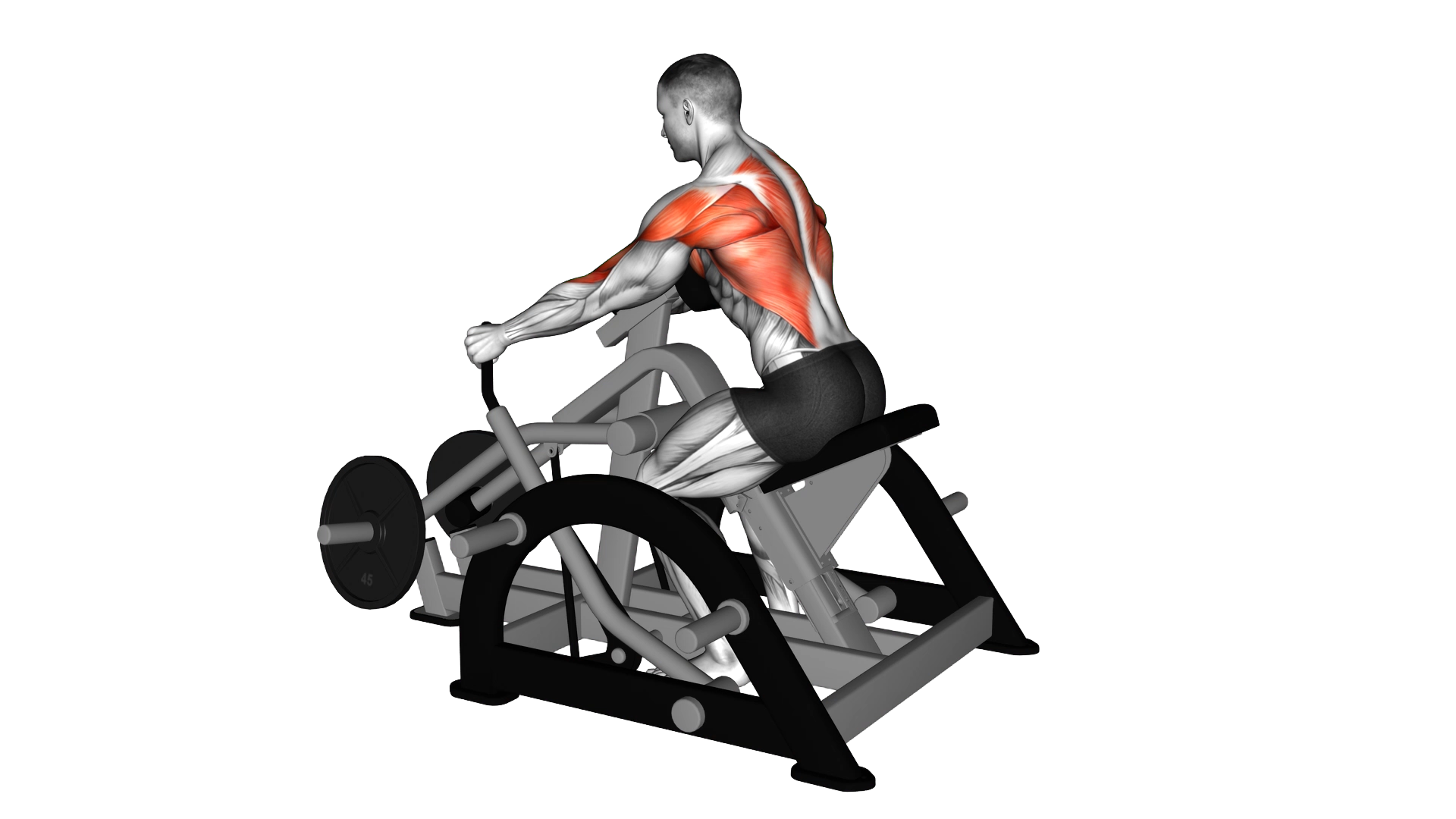 Lever Seated Row (plate loaded) exercise demonstration