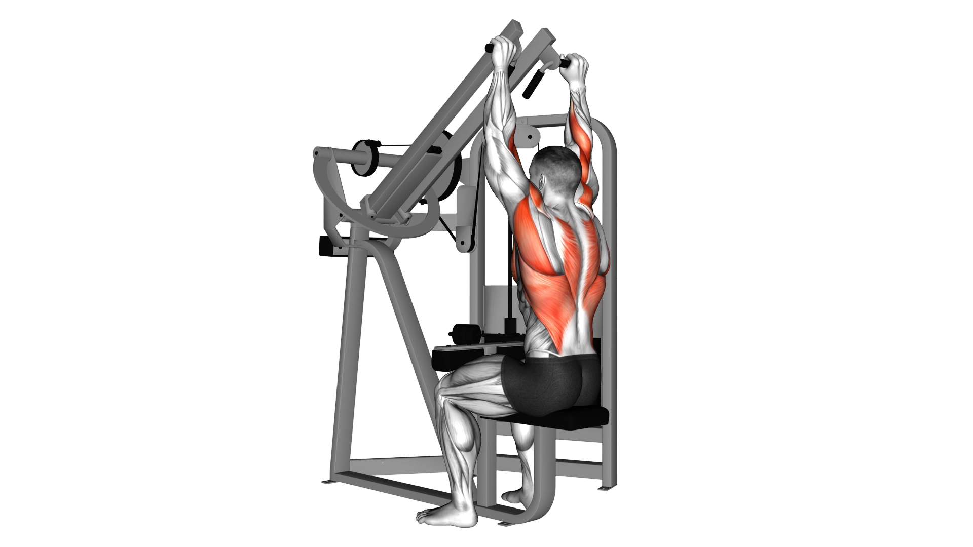 Lever Lateral Wide Pulldown exercise demonstration
