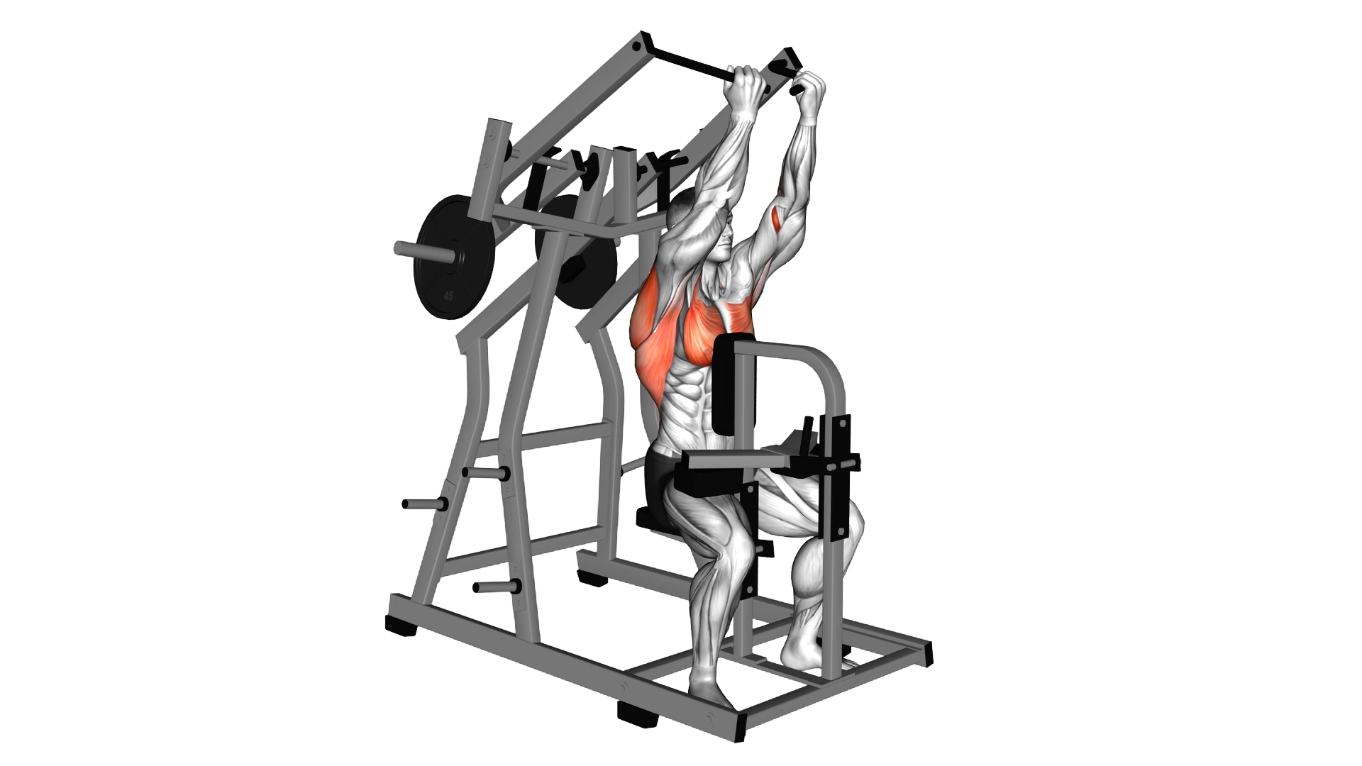 Lever Reverse grip Lateral Pulldown (plate loaded) exercise demonstration