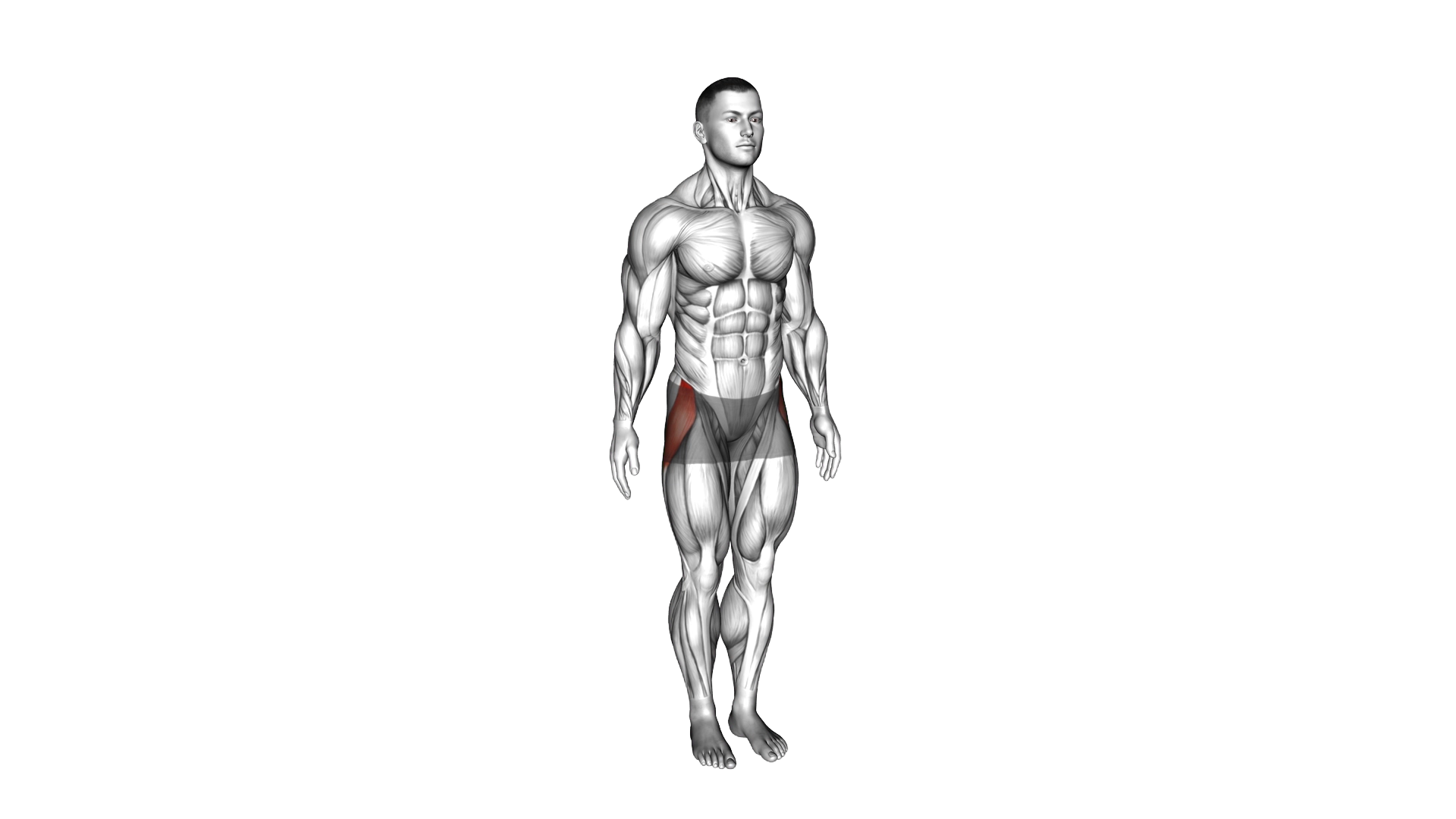 Hip Abduction exercise demonstration