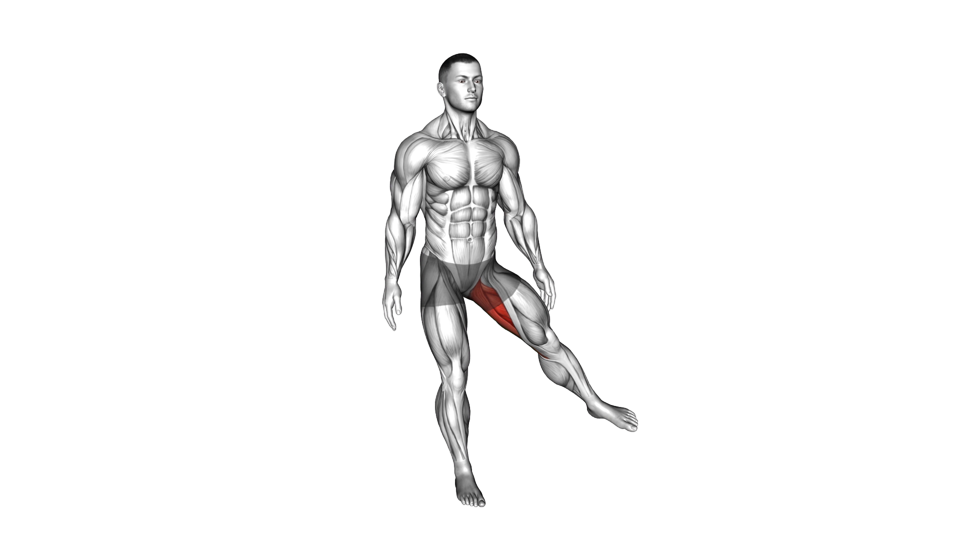 Hip Adduction exercise demonstration
