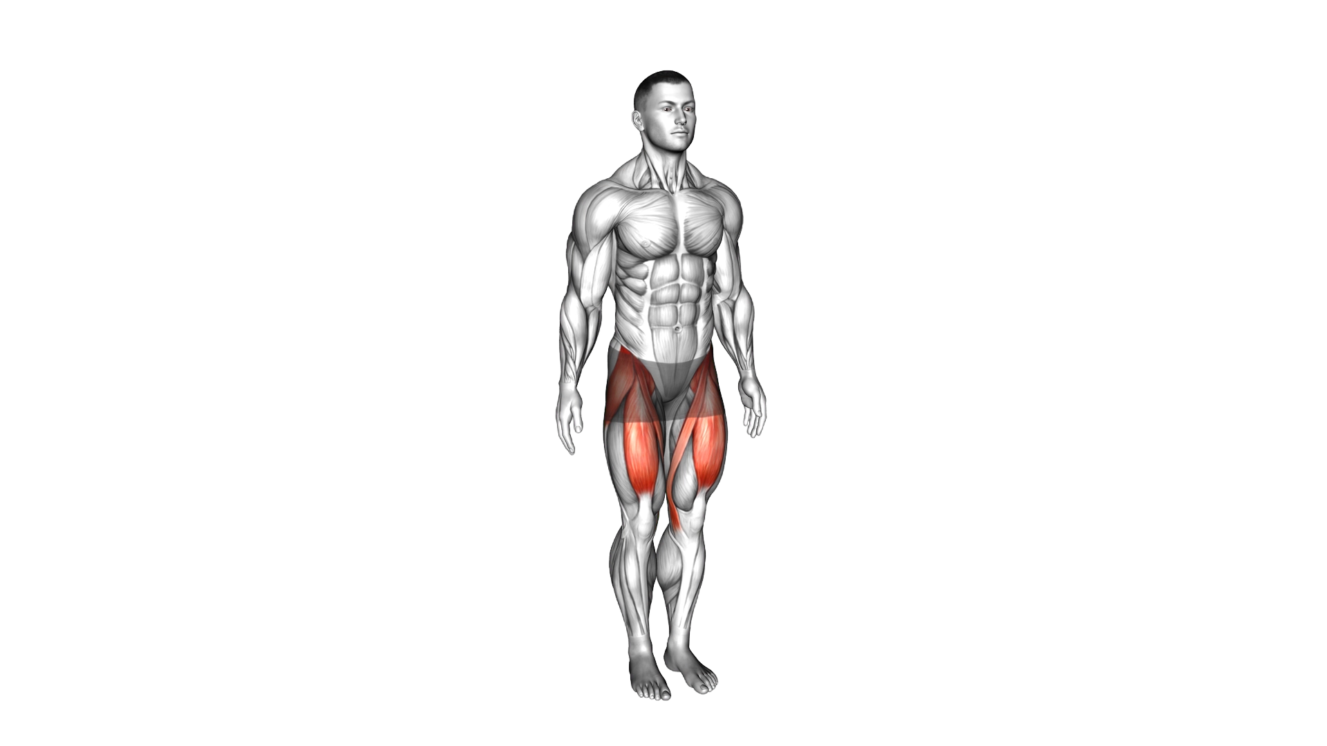 Hip Flexion exercise demonstration