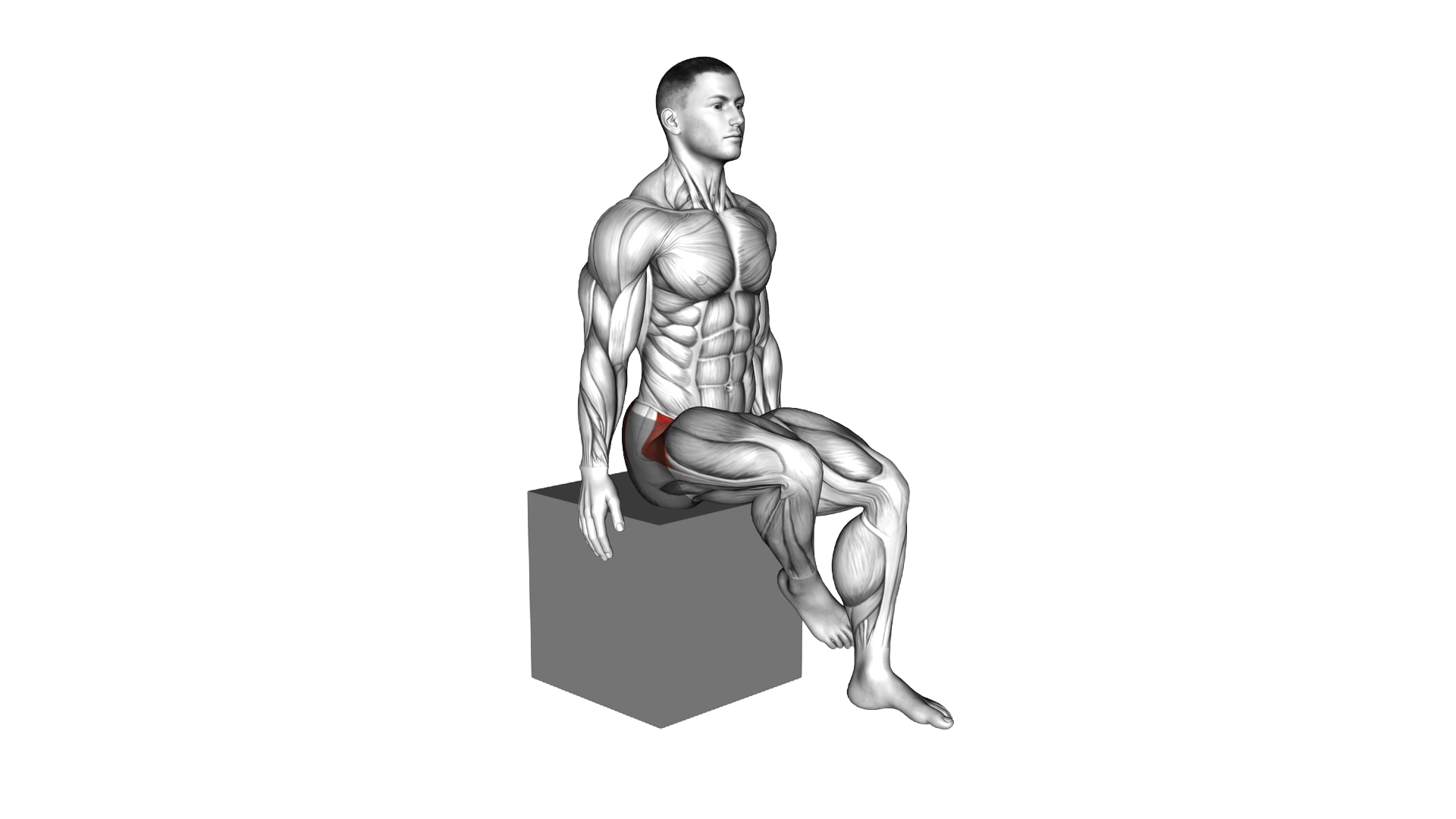 Hip Medial Rotation (Internal Rotation) exercise demonstration