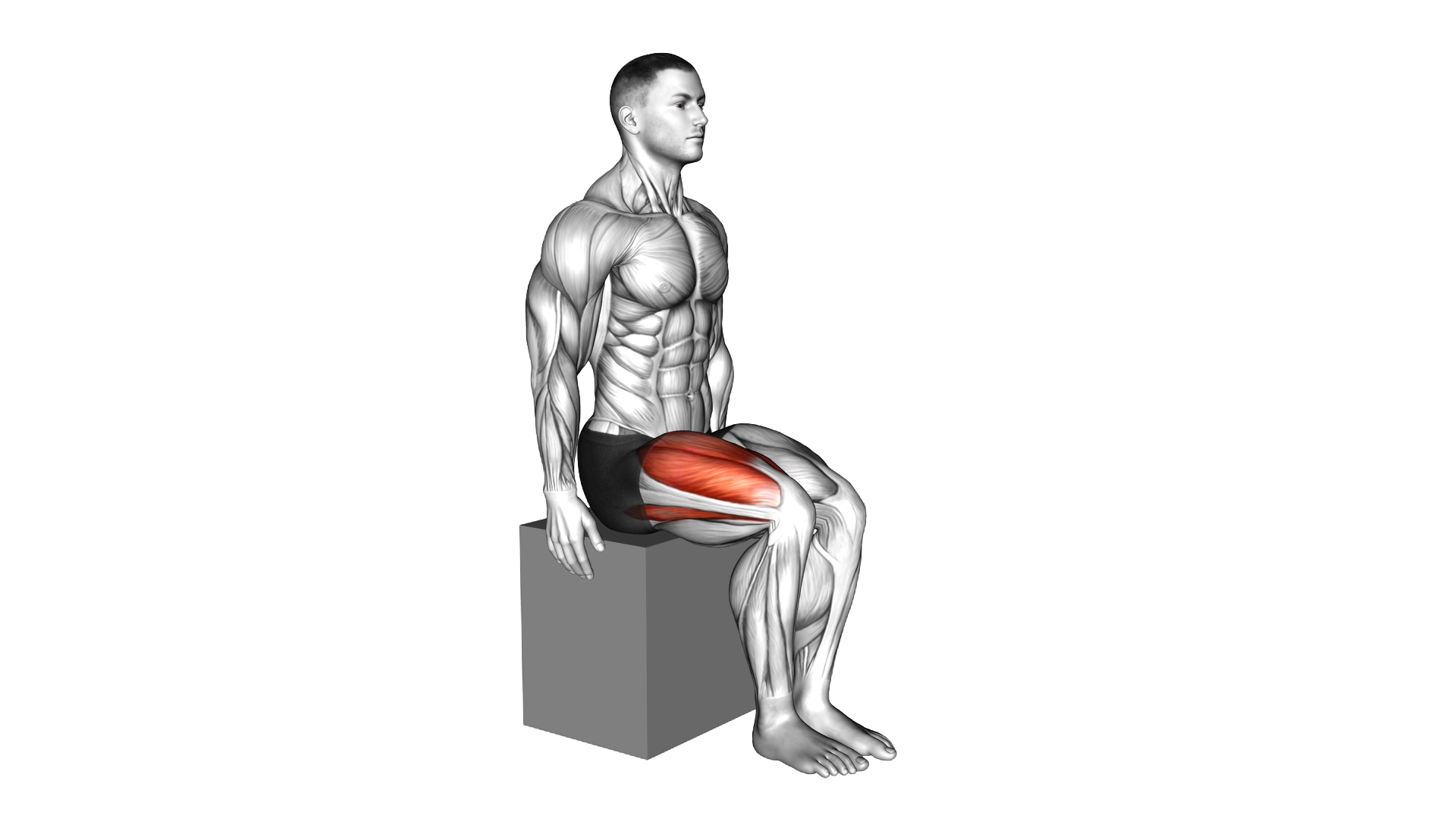 Knee Articulations Extension exercise demonstration