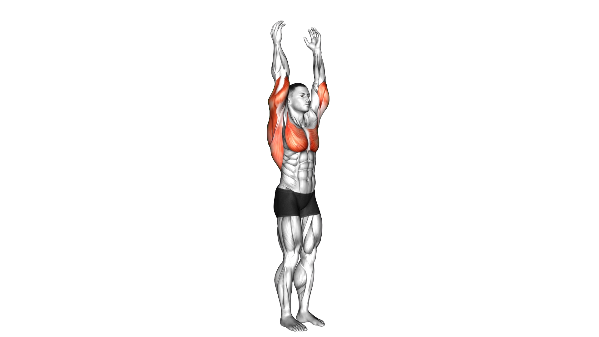 Shoulder Extension exercise demonstration