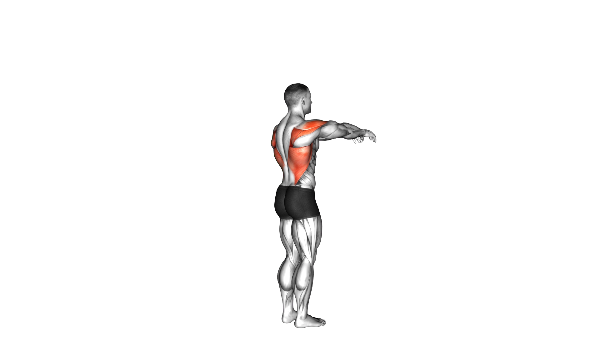 Shoulder Transverse Extension exercise demonstration