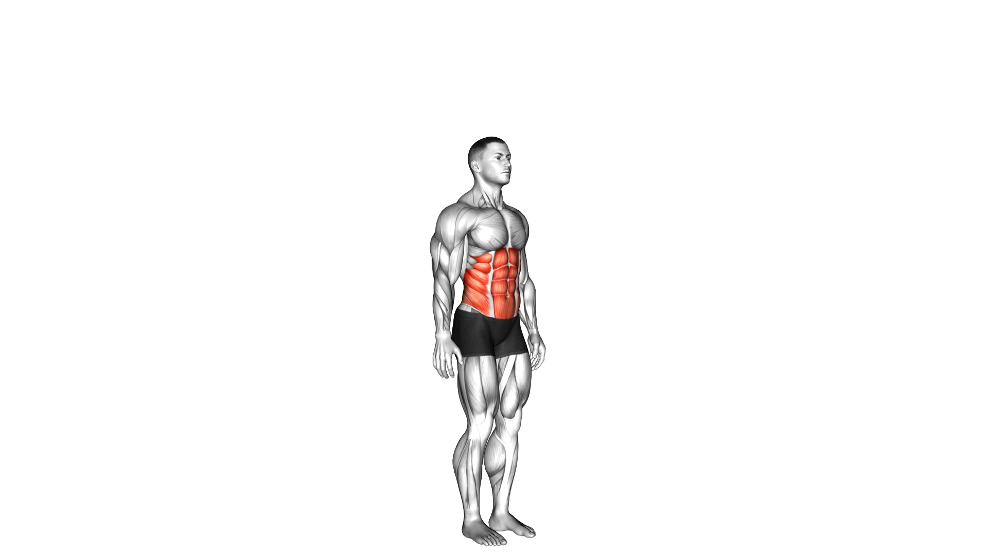 Spine (Lumbar) Flexion exercise demonstration