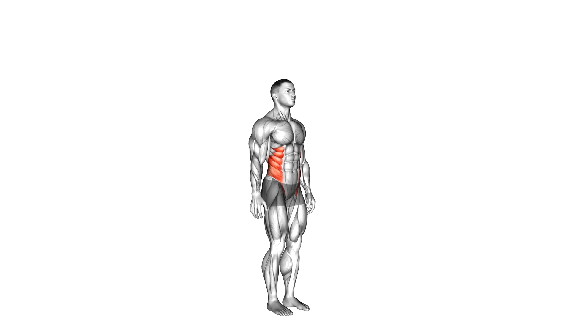 Spine (Lumbar) Rotation exercise demonstration