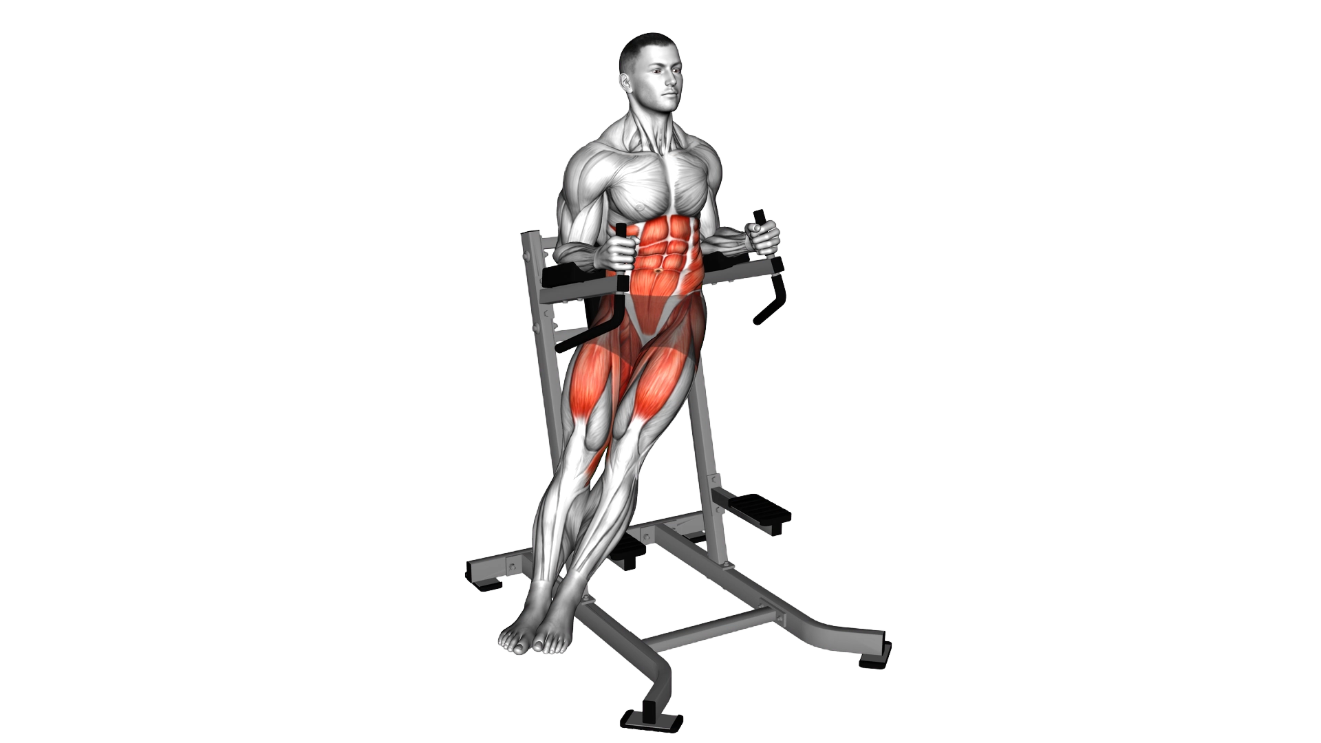 Twisted Leg Raise exercise demonstration