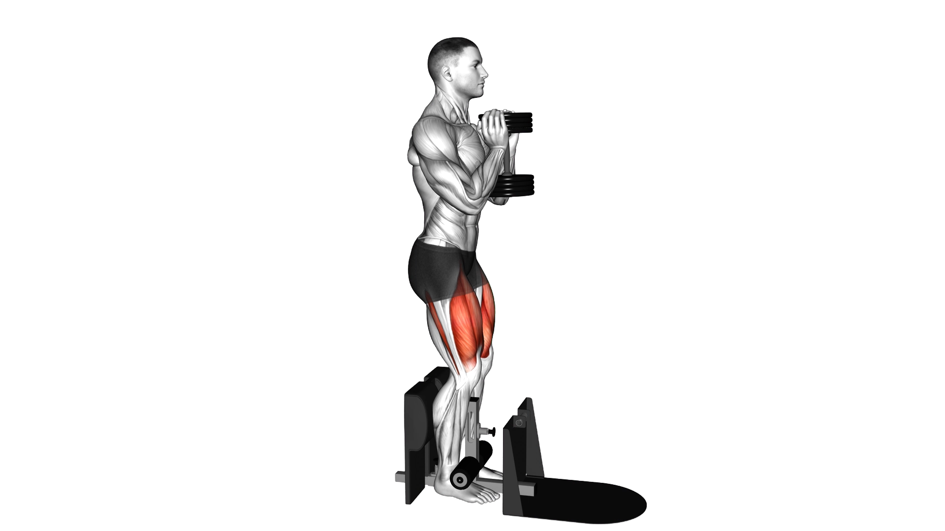 Dumbbell Supported Squat exercise demonstration