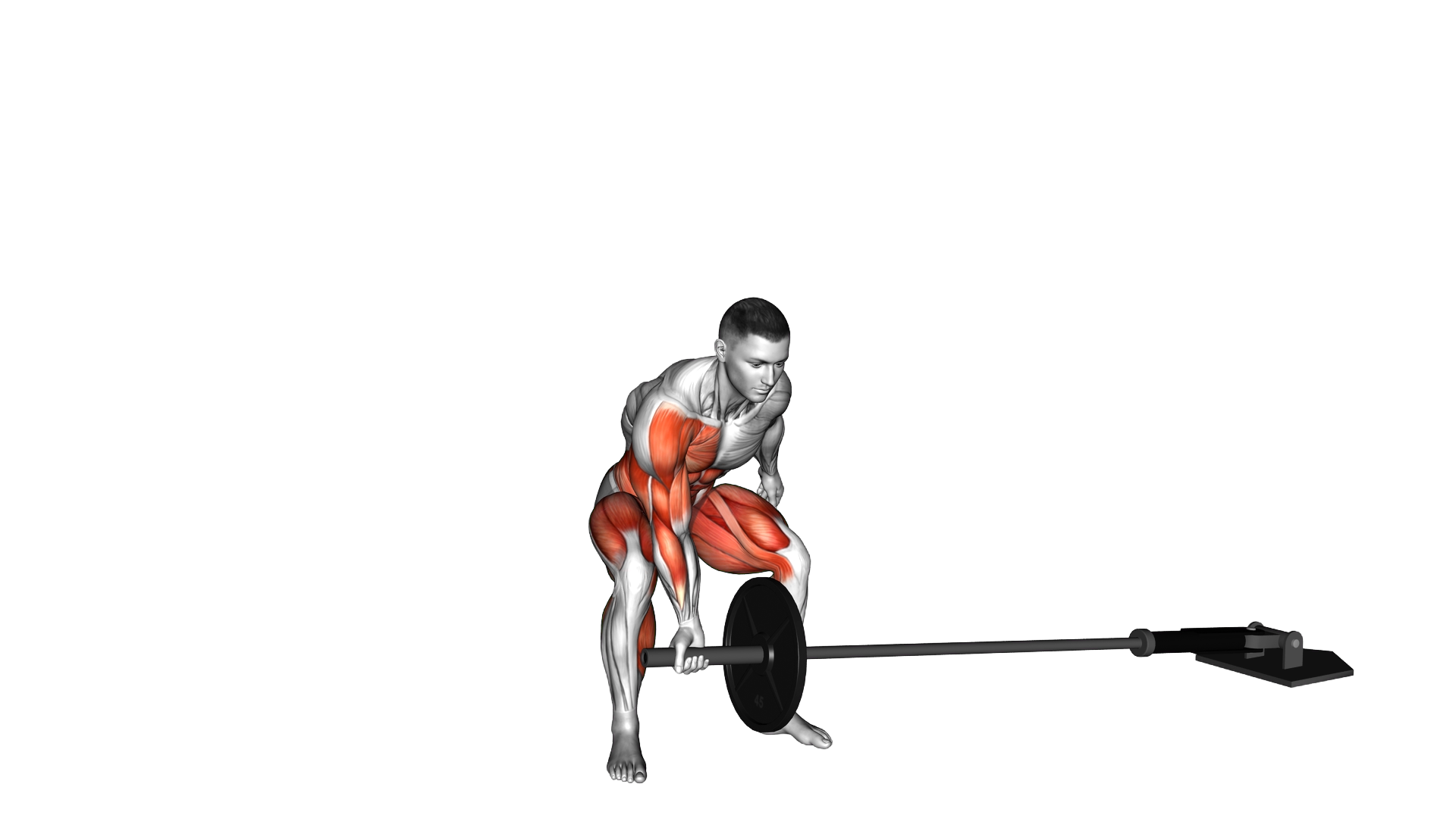 Barbell One Arm Twisted Clean and Press exercise demonstration
