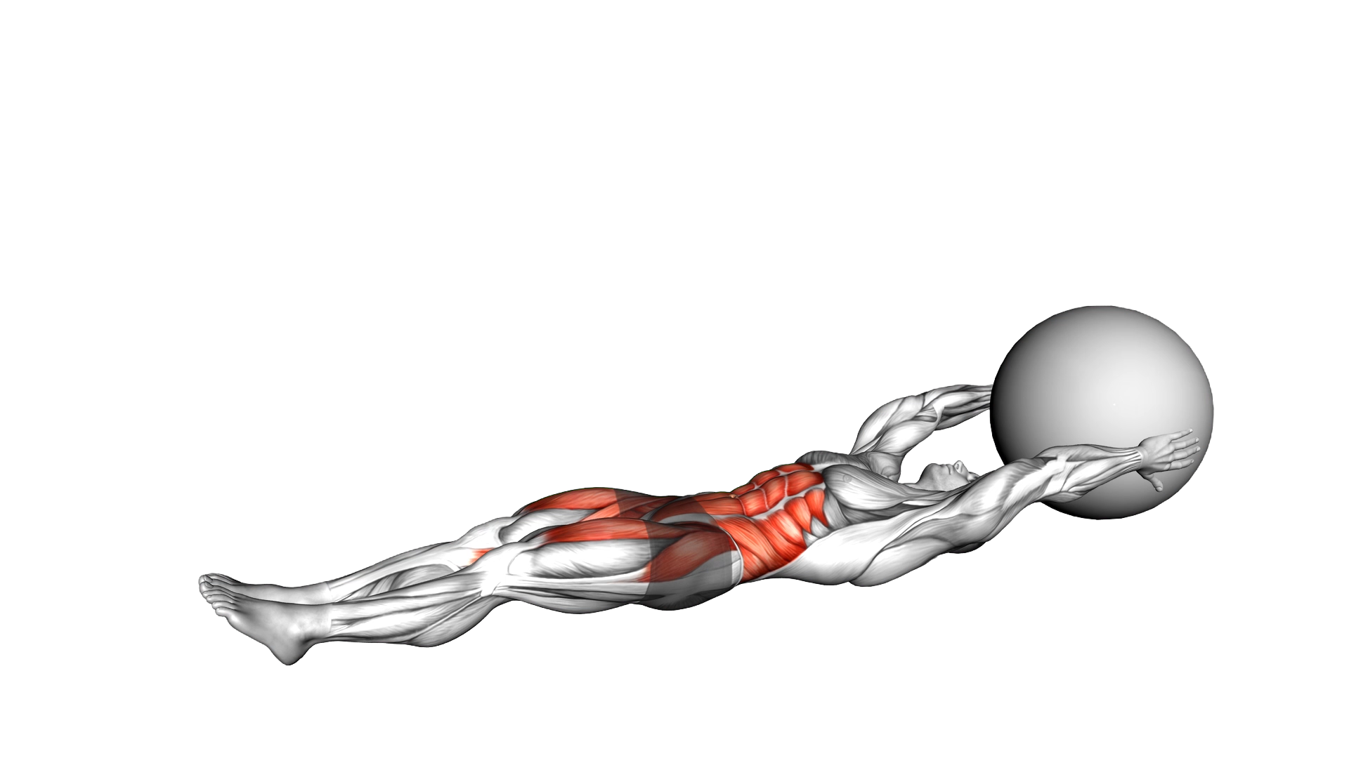 V Up Down (with Stability ball) exercise thumbnail