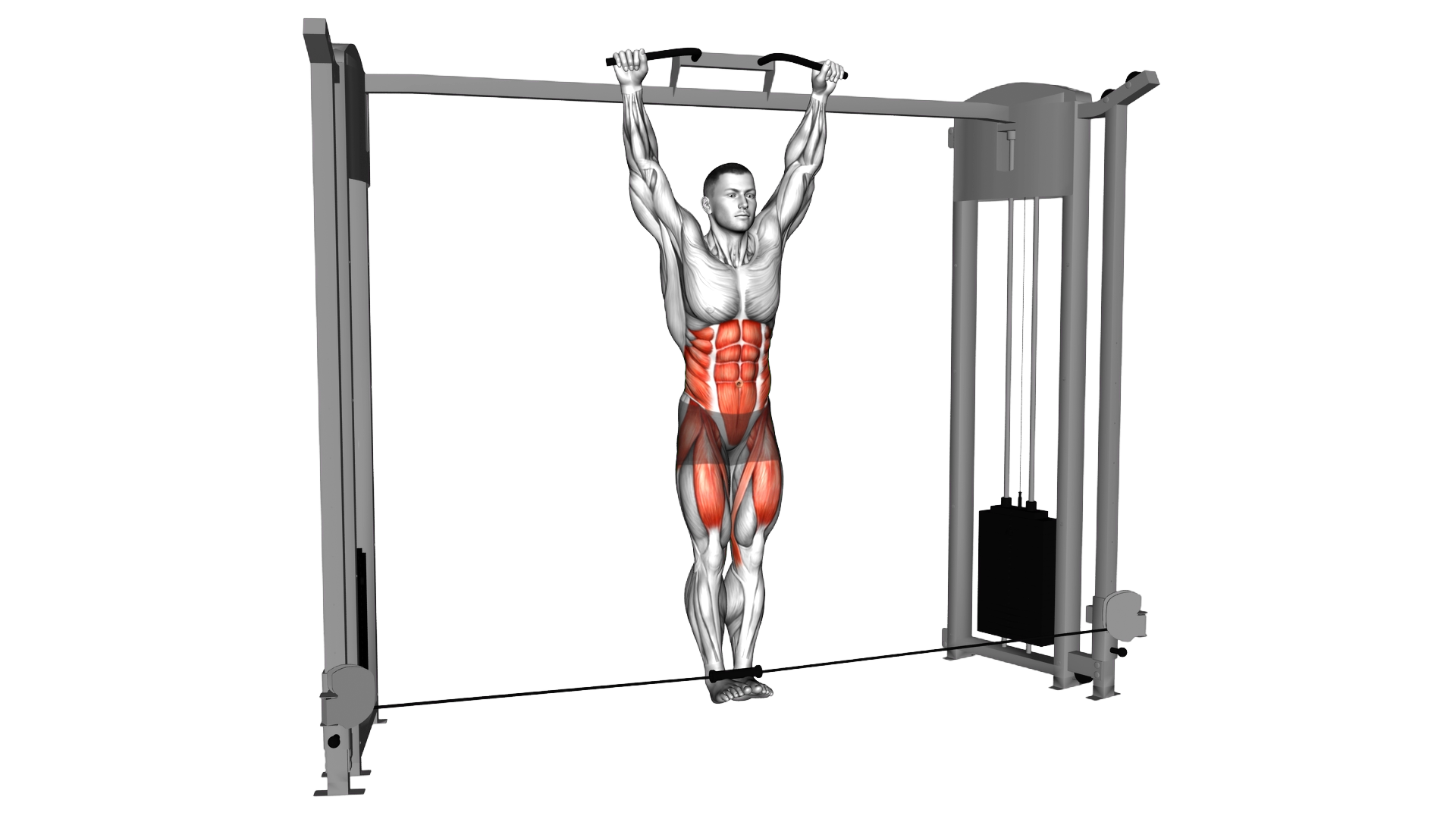 Cable Hanging Leg Raise exercise thumbnail