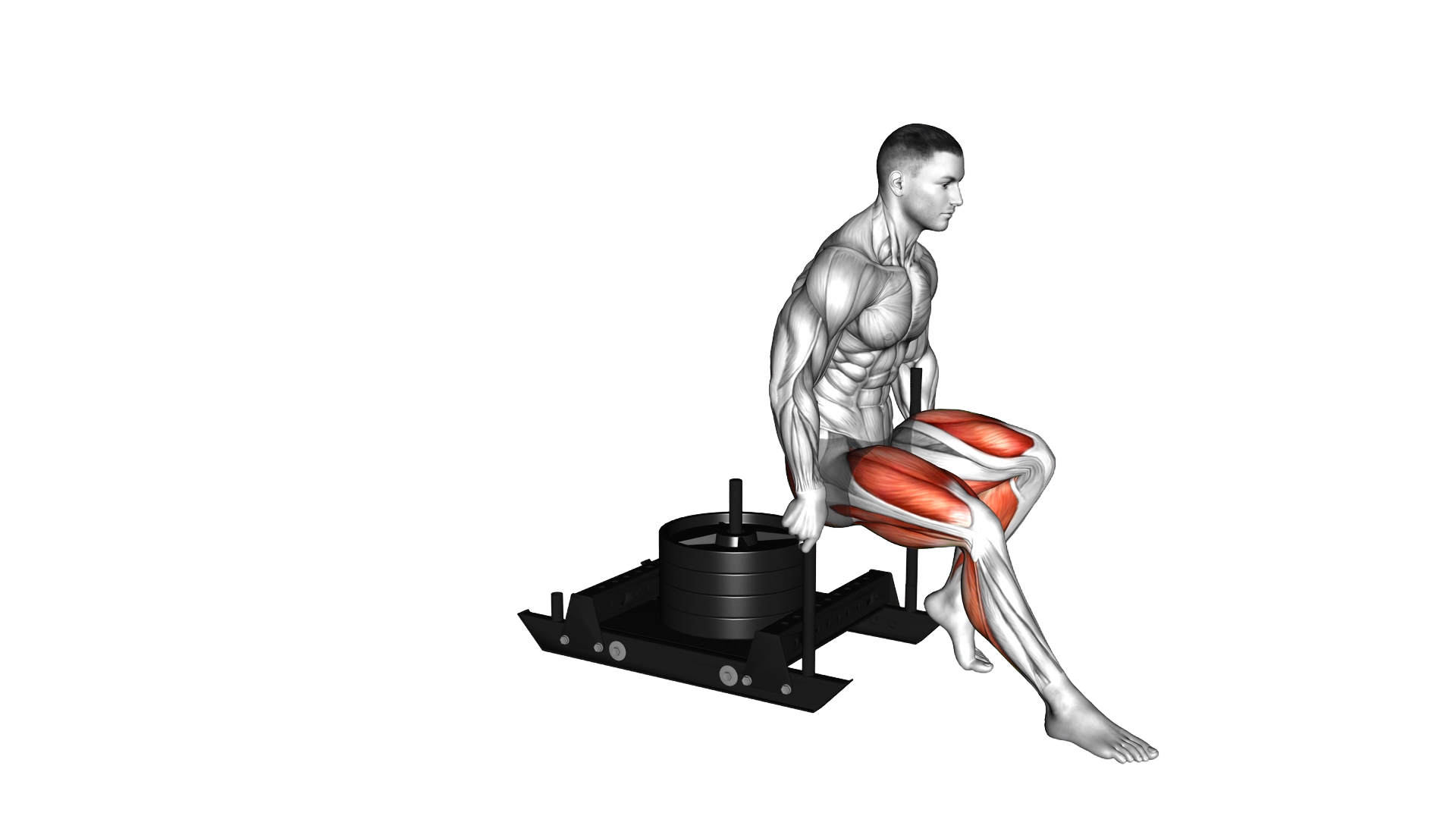 Power Sled Backward Push exercise demonstration