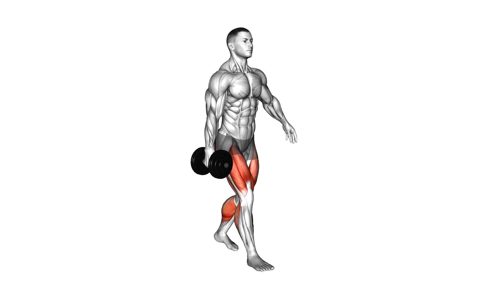 Dumbbell Suitcase Carry exercise demonstration