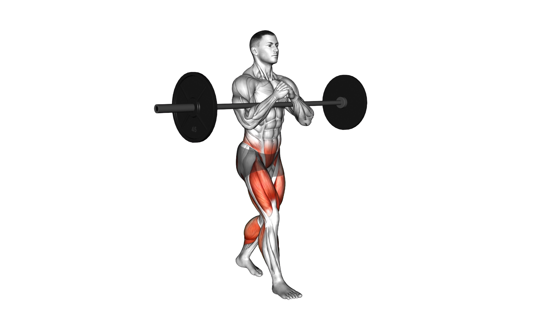 Barbell Zercher Carry exercise demonstration