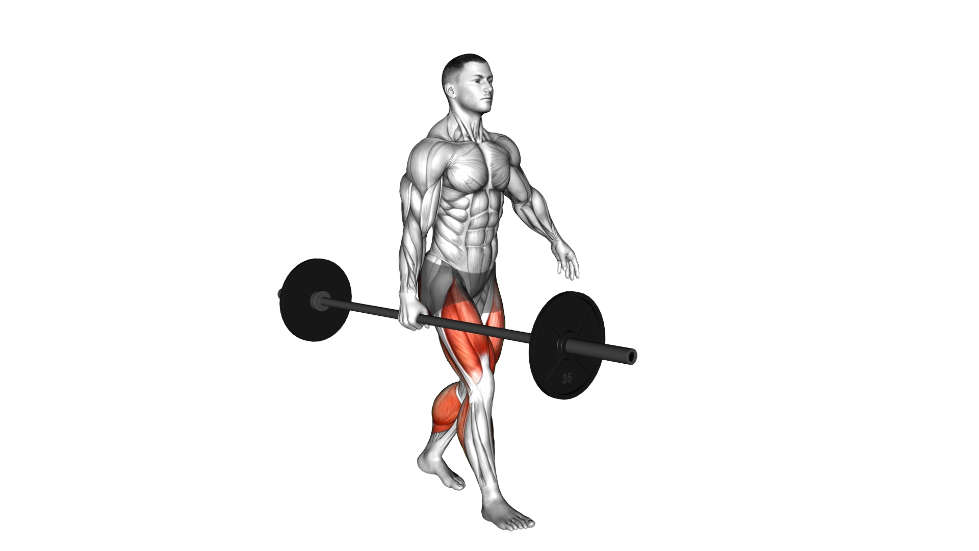 Barbell Suitcase Carry exercise demonstration